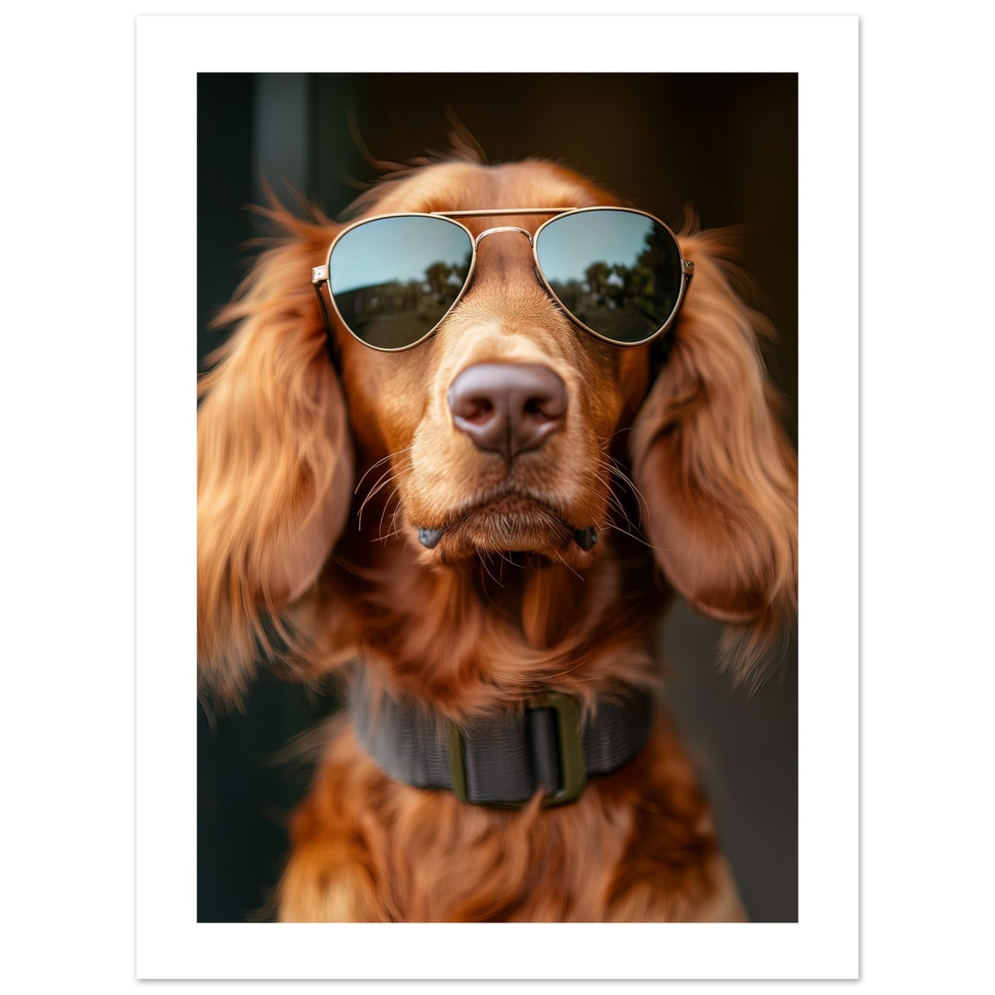 88efcafa-2f8d-4785-a24c-d522d4ab50b5