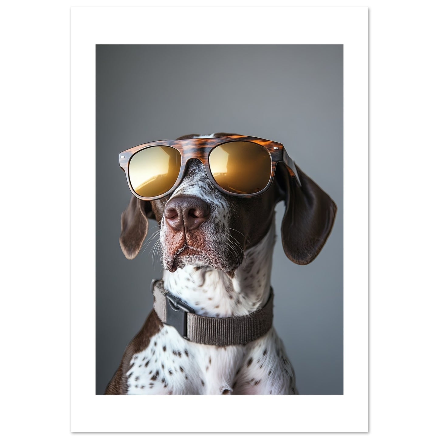 8a0c87a6-8bc9-498b-a1e5-d73c6212f9ba