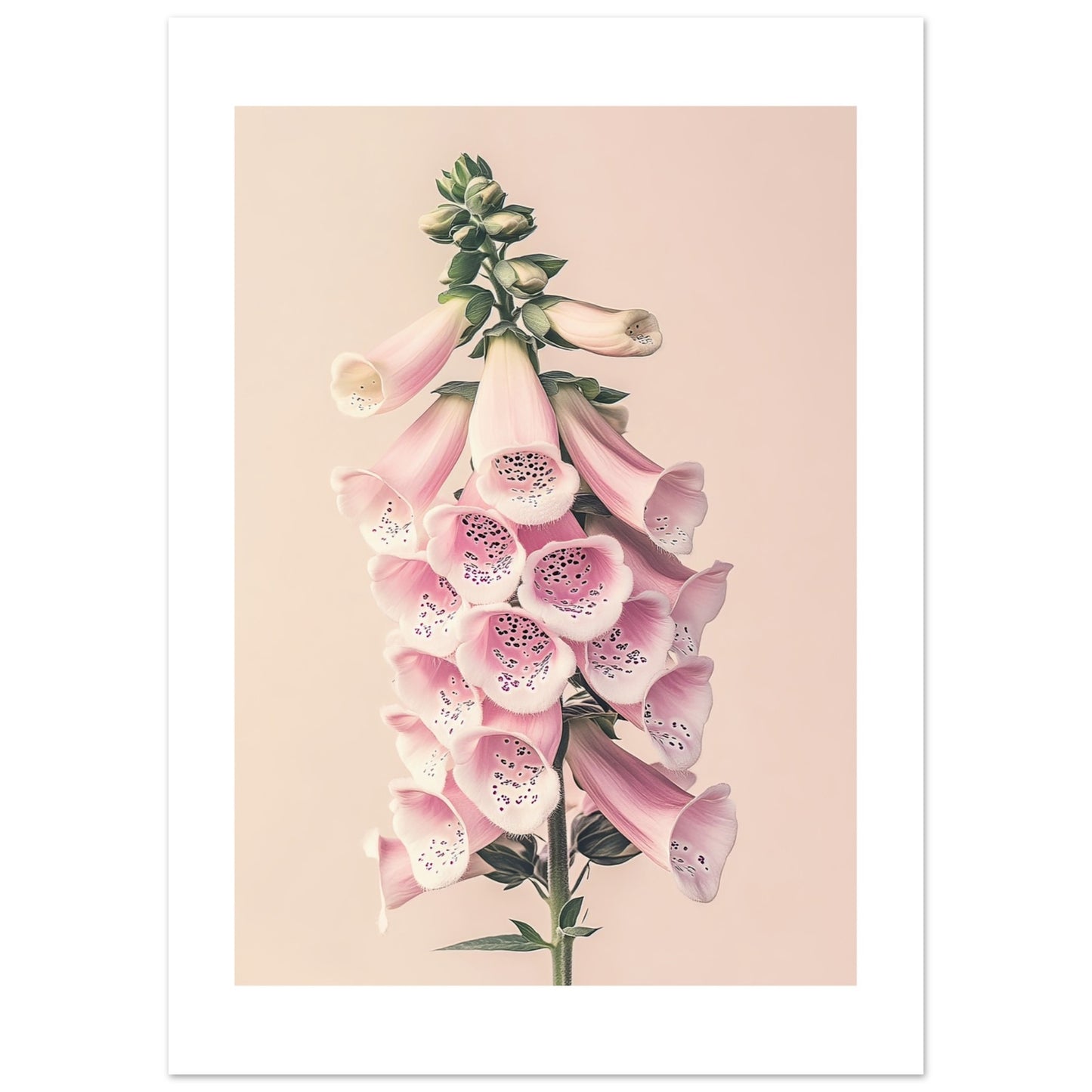 8abe6d2b-e285-4110-bf32-2e71e725ef48