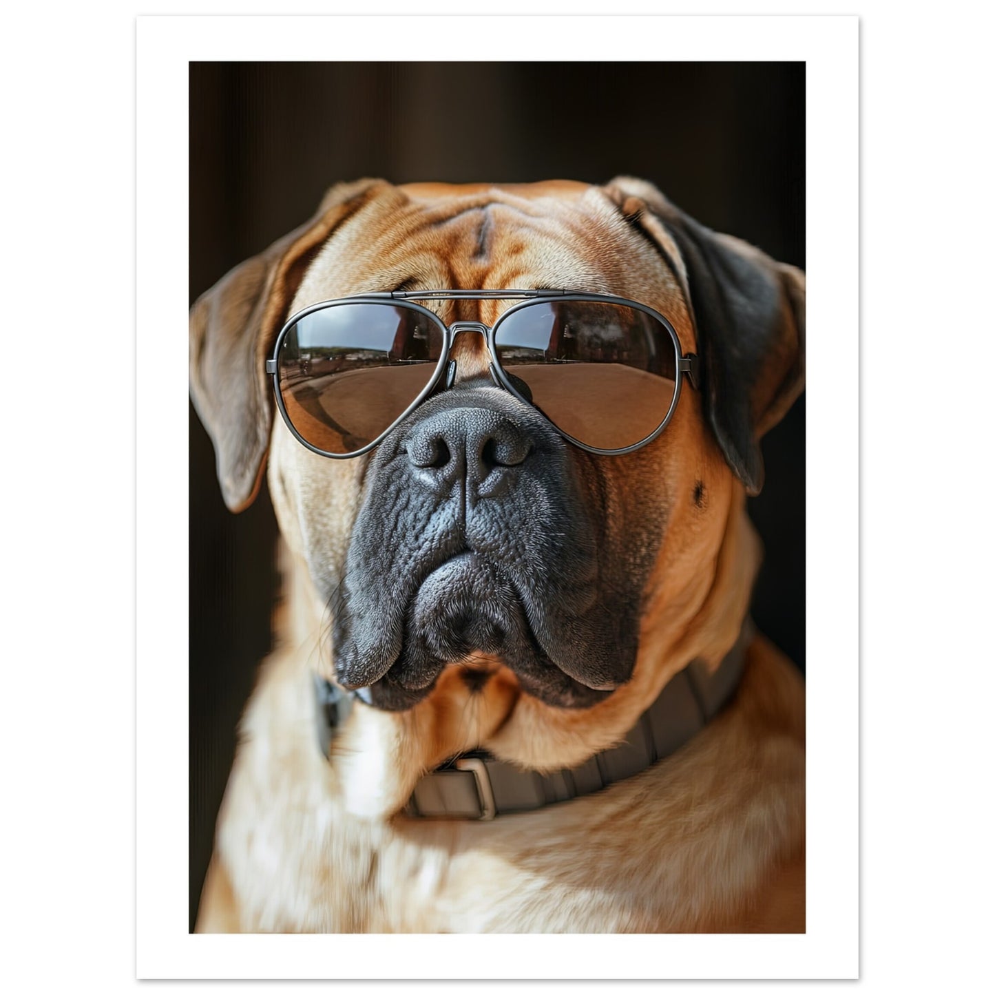 8cbfd7e0-6d6c-4536-9926-e3431bbc9c11