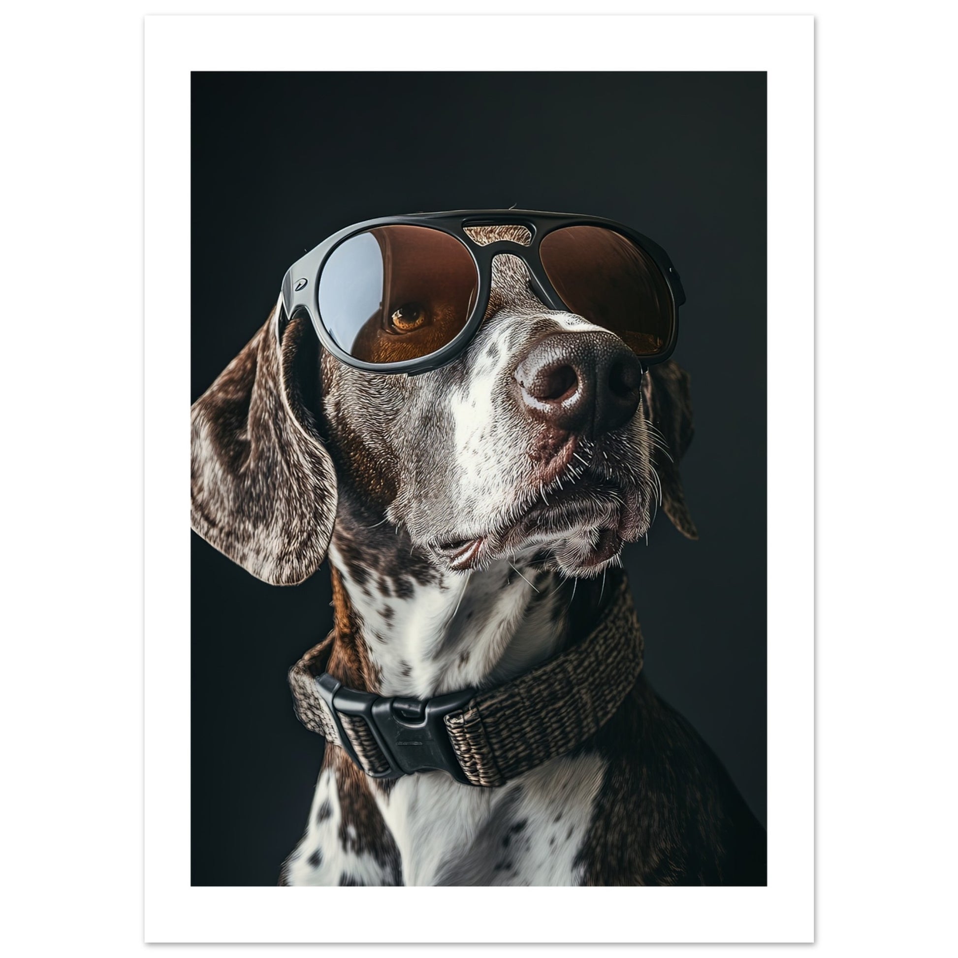 8d473b79-4adc-4bec-a995-1624b843310d