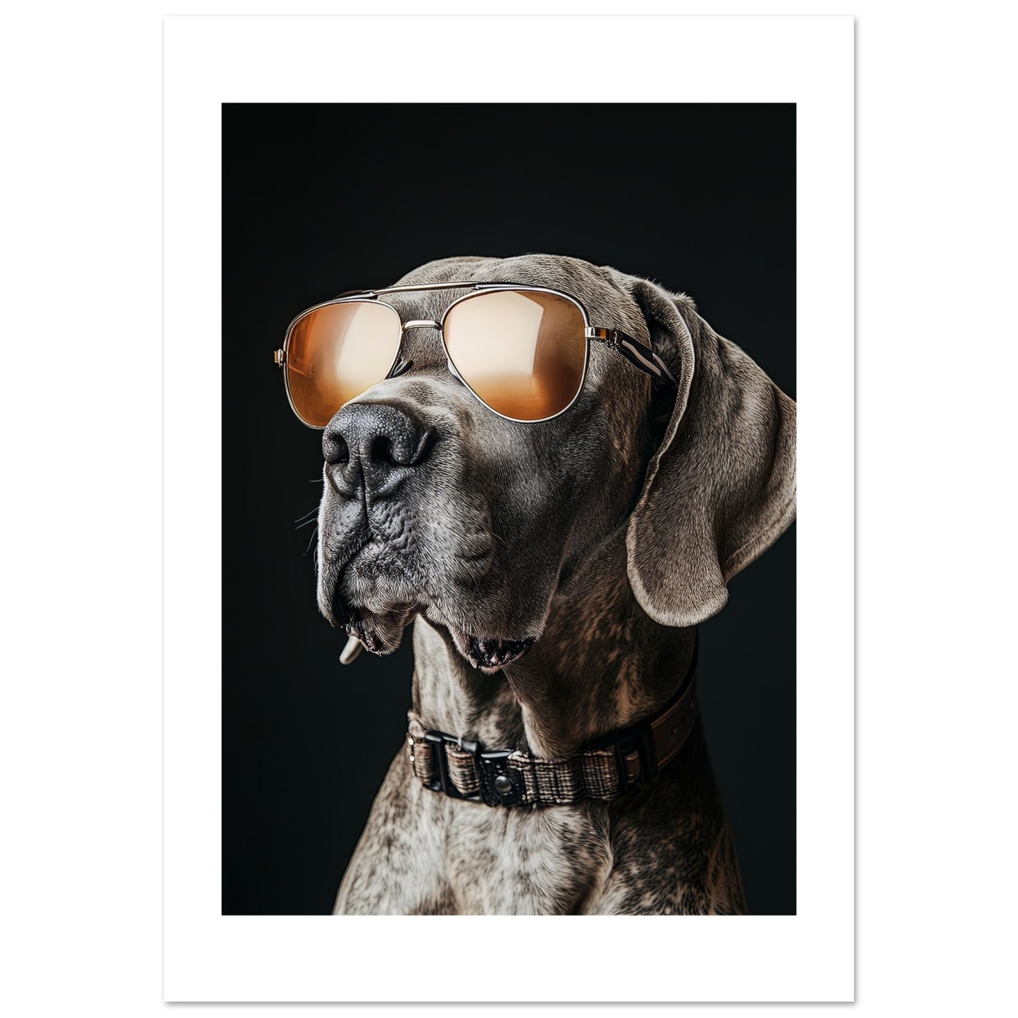 909276ea-d78d-4d39-a2ab-4c4e25bf3e81