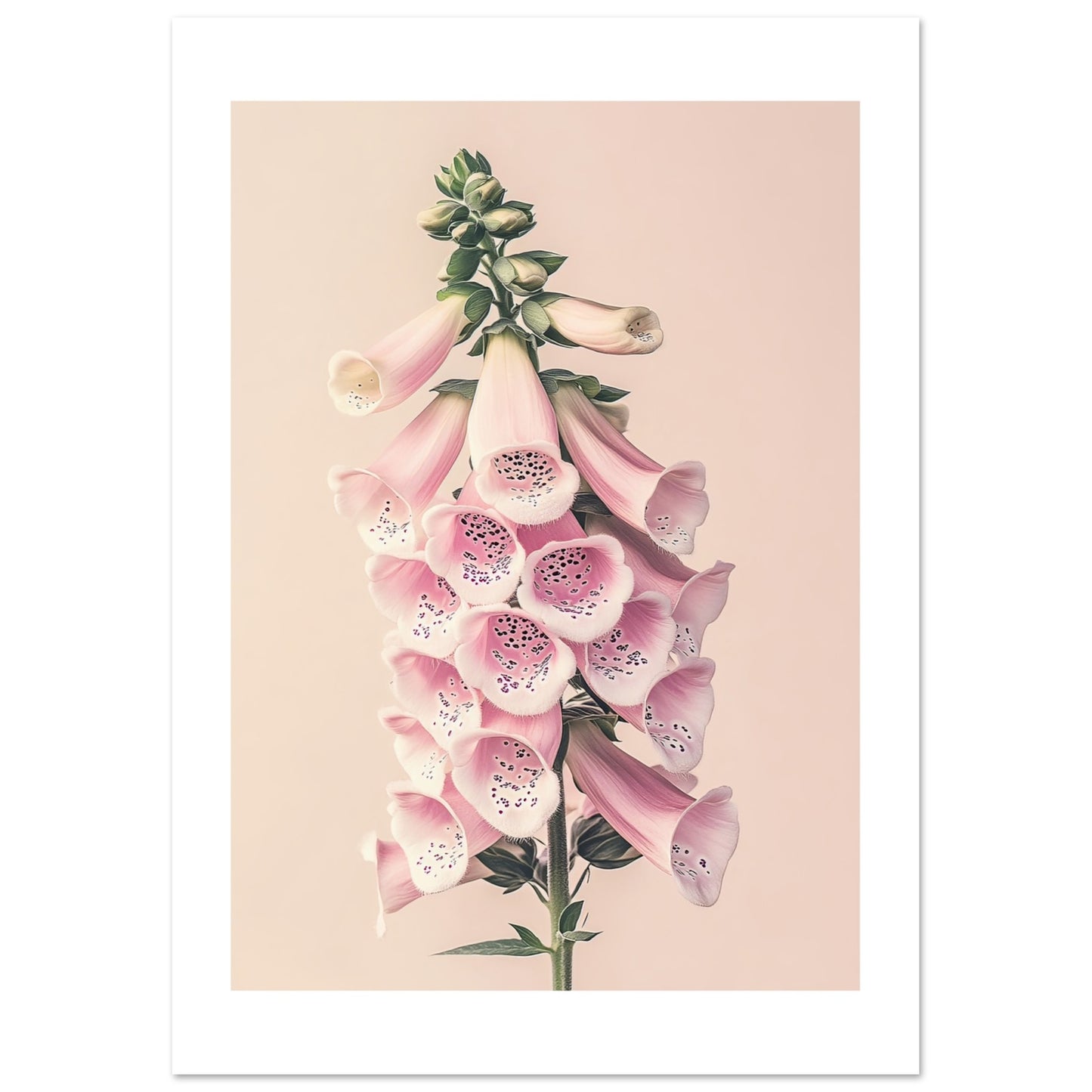 93793a38-5a9c-463a-b14d-f253cc5fd992