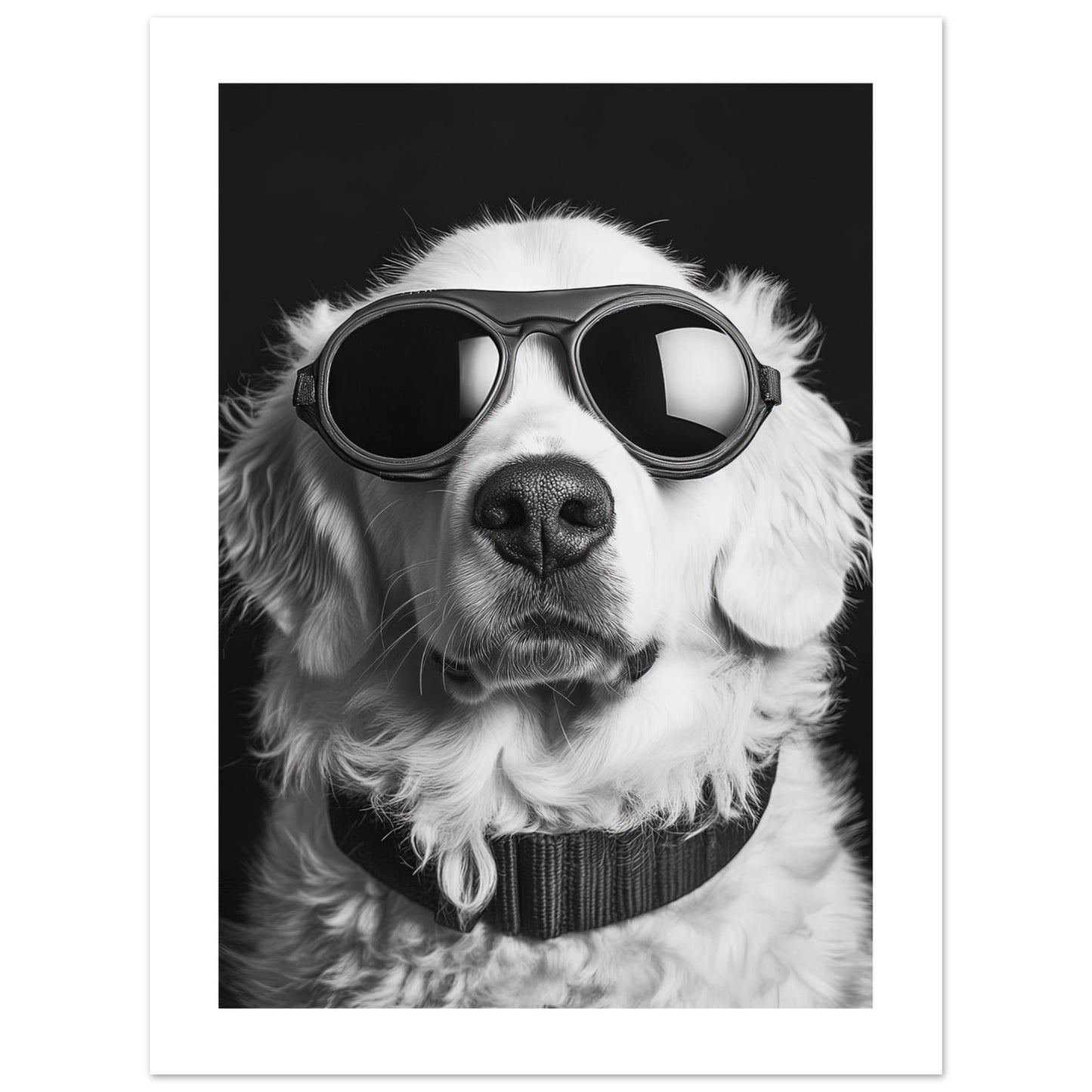 94f358ca-8d7e-4d23-ba2f-36a9e7b0b51a