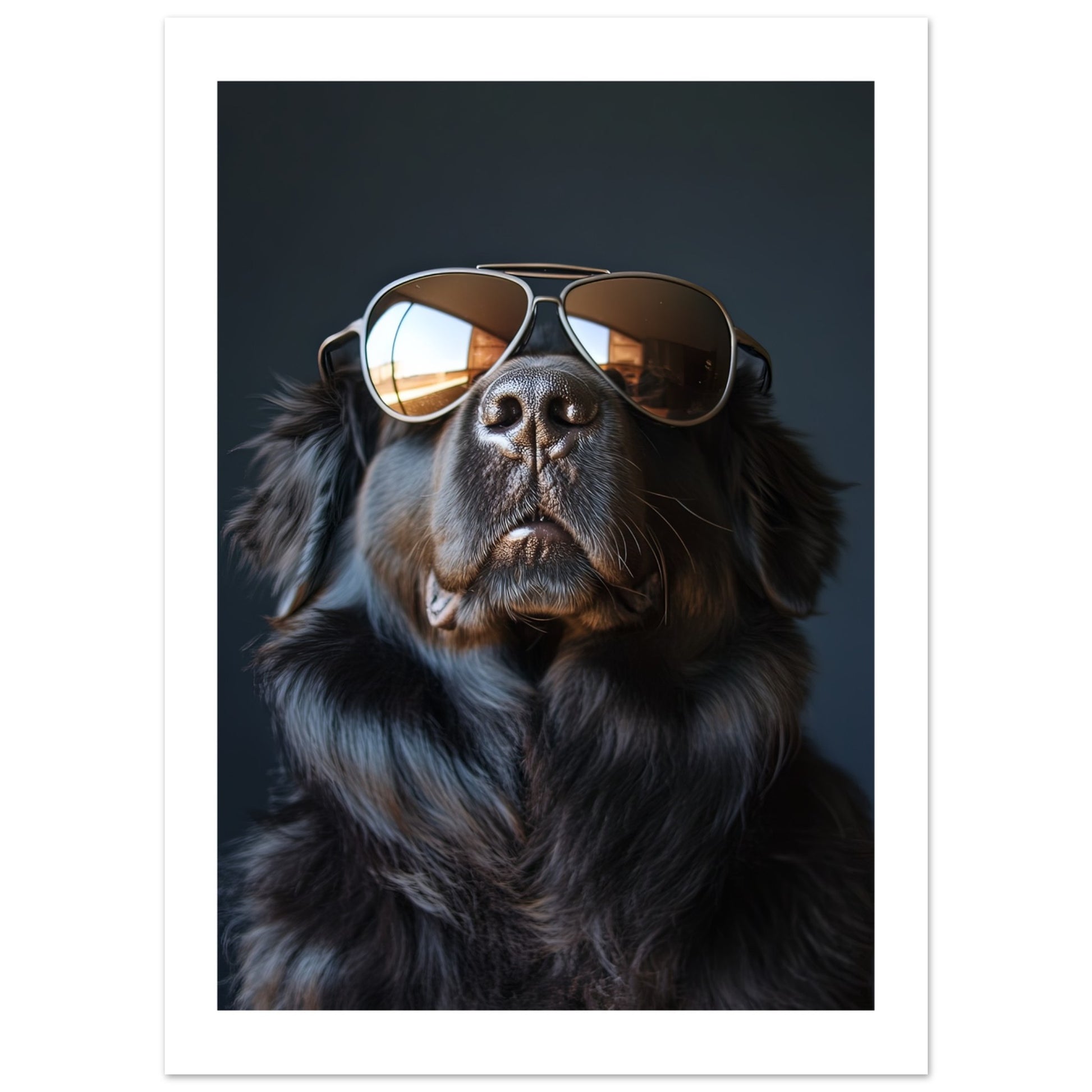 950c3868-d468-429c-acec-acee7141862f