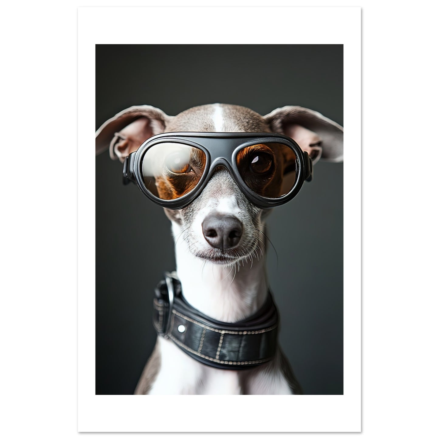 97f51c79-e7af-46d8-a66f-3577888c77ac