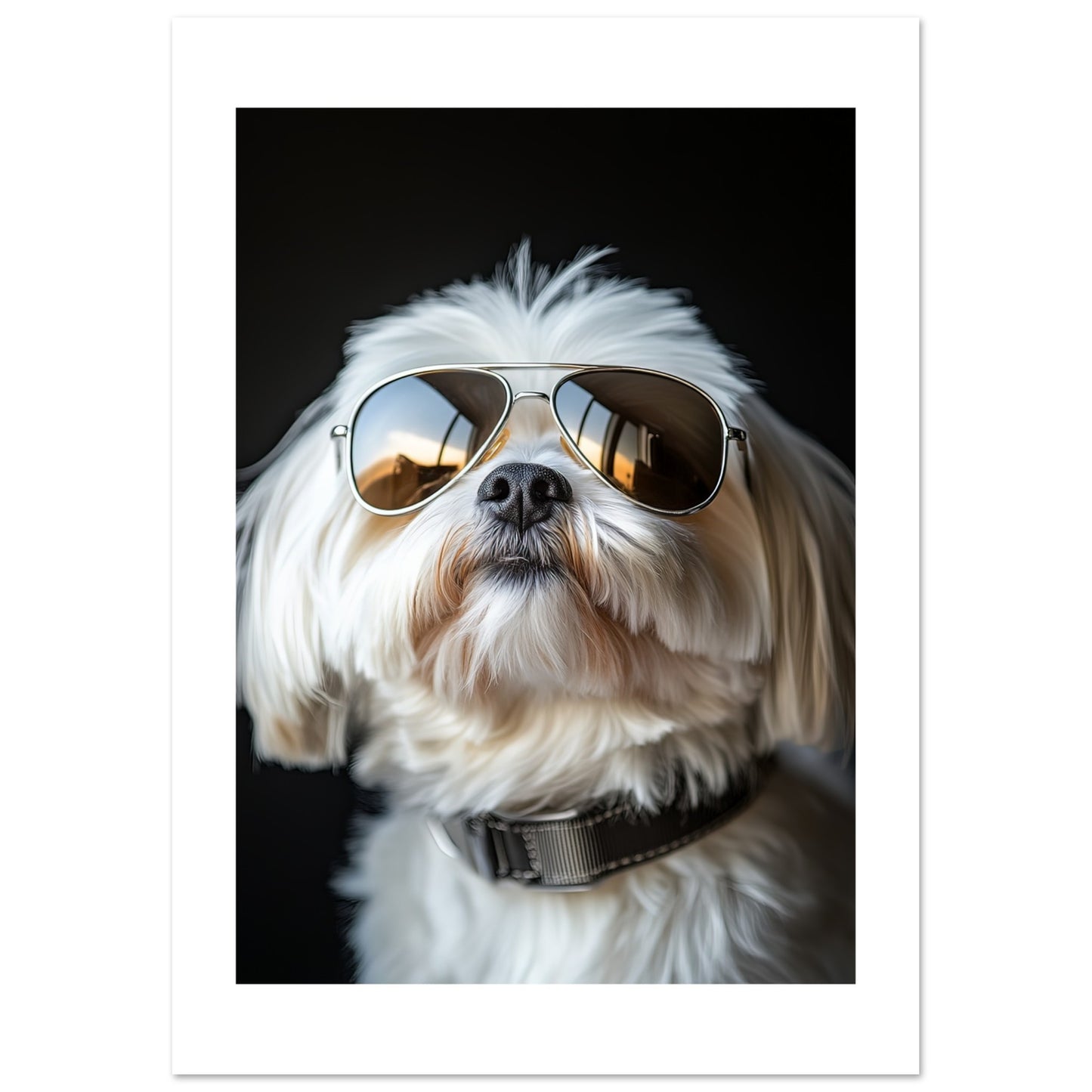 9848e650-ade3-4714-aec4-9ec3bbcf8cf9