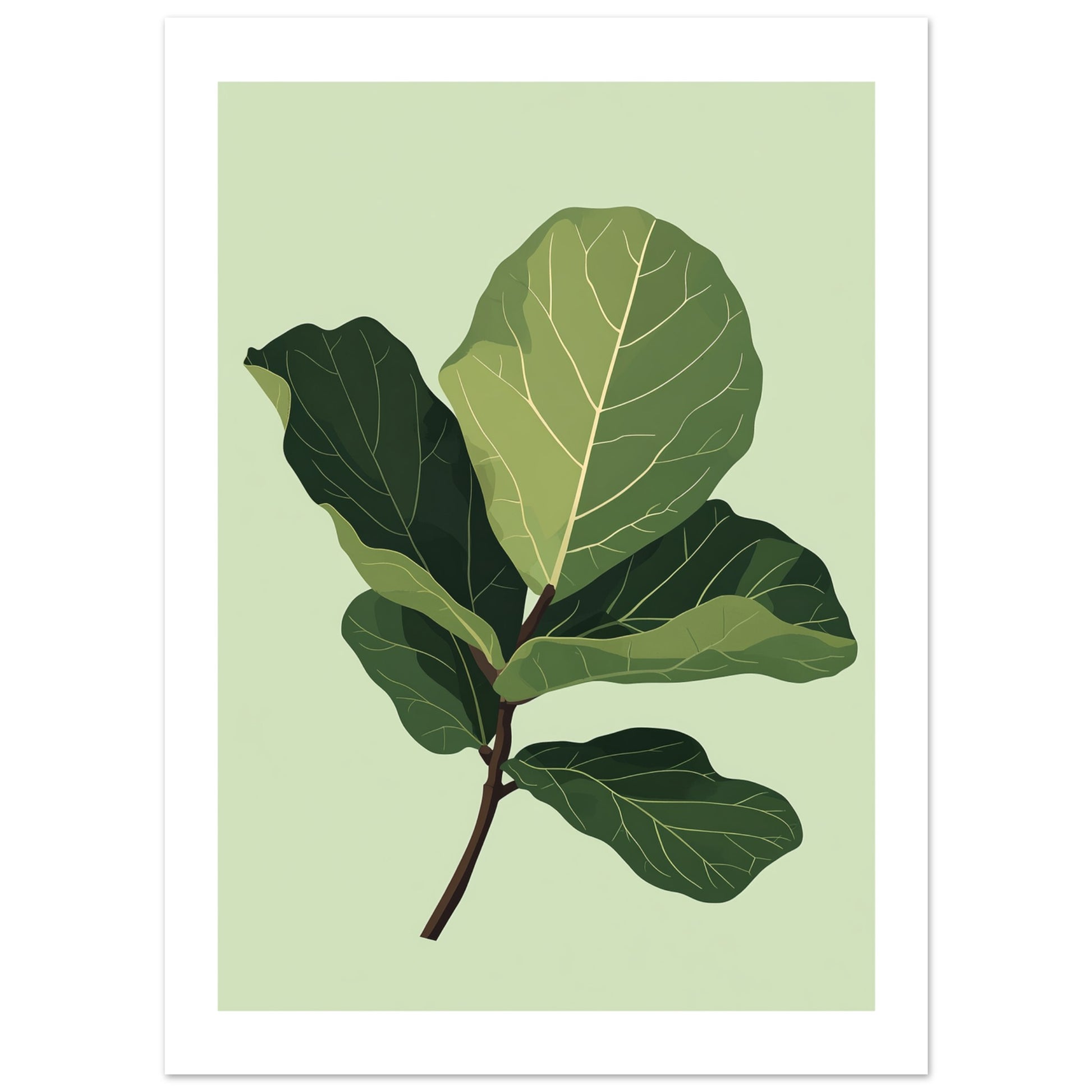 fiddle leaf fig illustration Stunning Fiddle Leaf Fig Wall Art for Modern Decor – Posters One Hundred