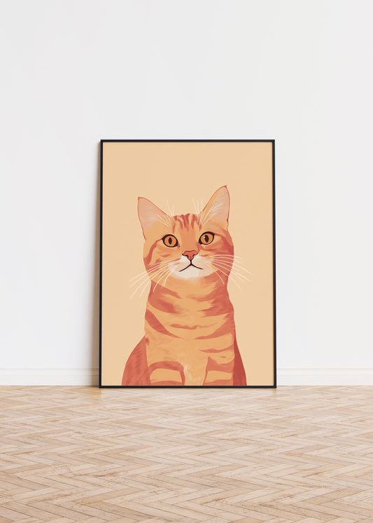 Illustration of a American Shorthair cat
