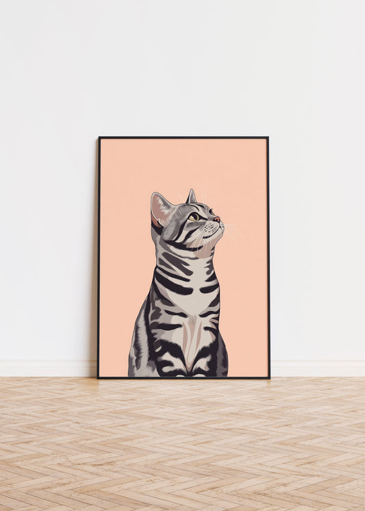 Illustration of a American Shorthair cat 1