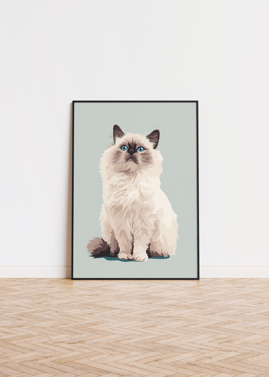 Illustration of a Birman cat