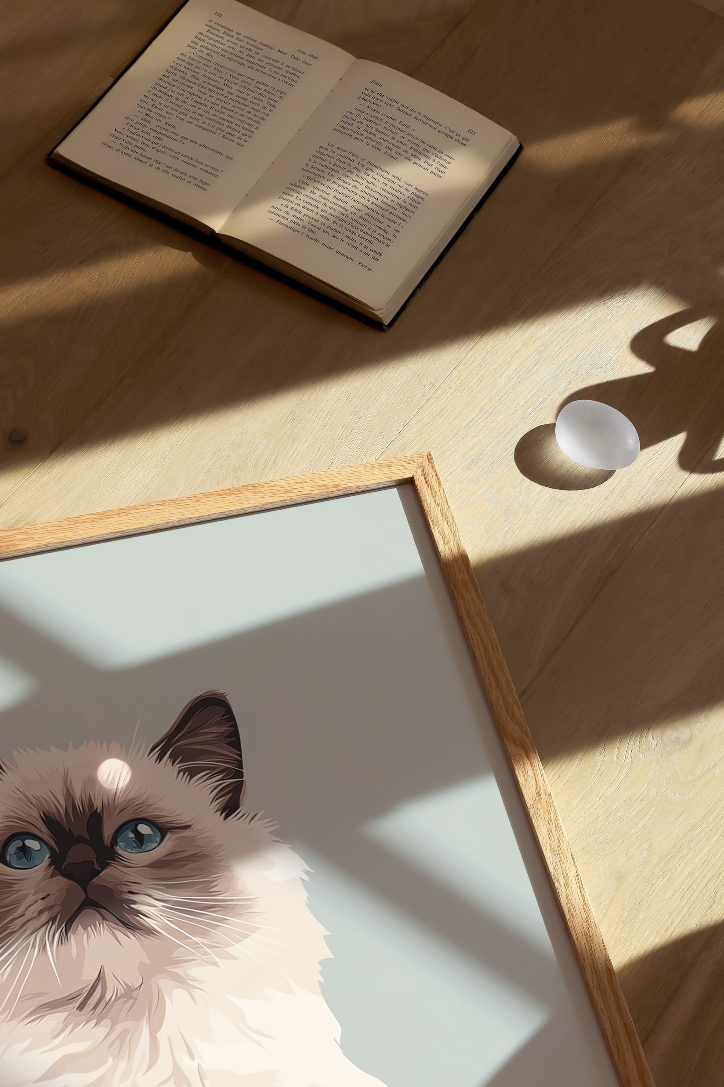 Illustration of a Birman cat