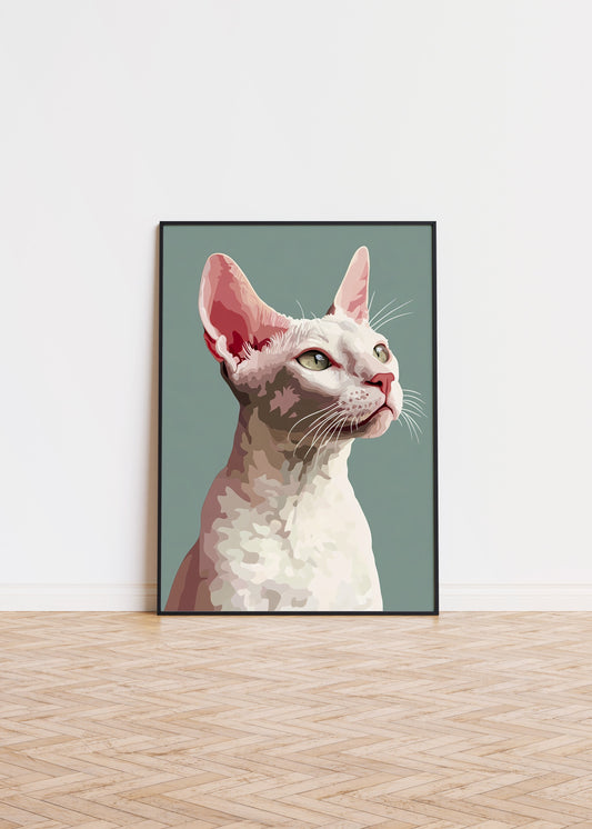 Illustration of a Cornish Rex cat 2