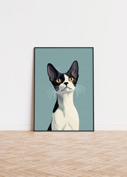 Illustration of a Devon Rex cat