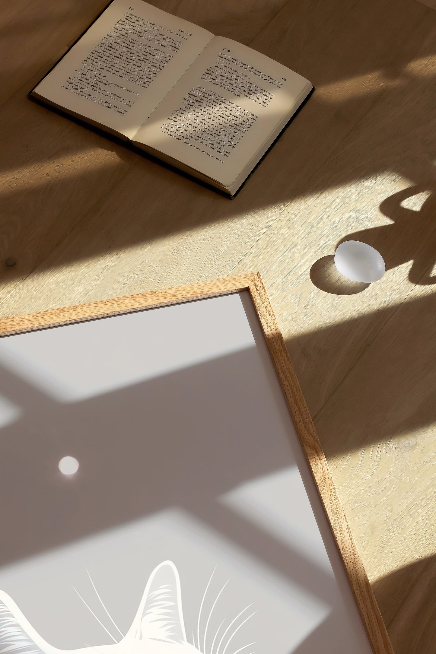 Illustration of a European Shorthair cat