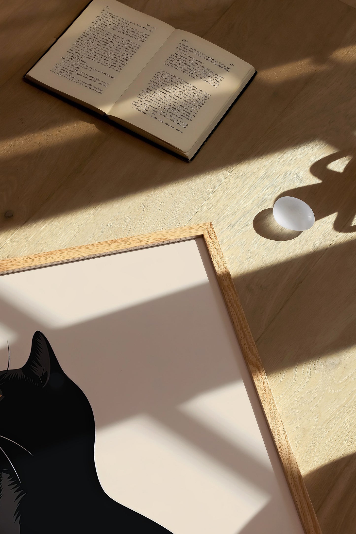 Illustration of a European Shorthair cat 1