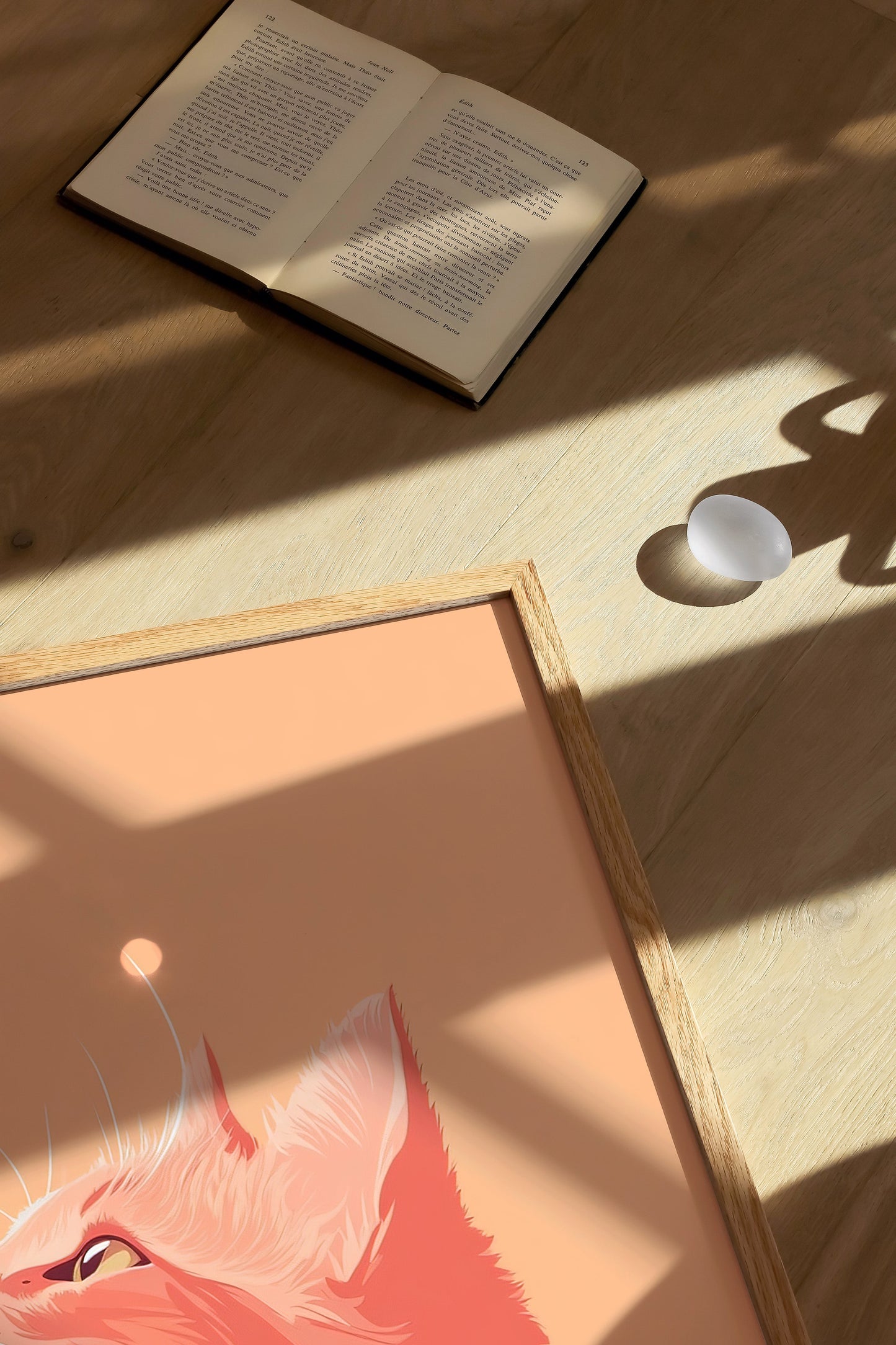 Illustration of a Himalayan cat