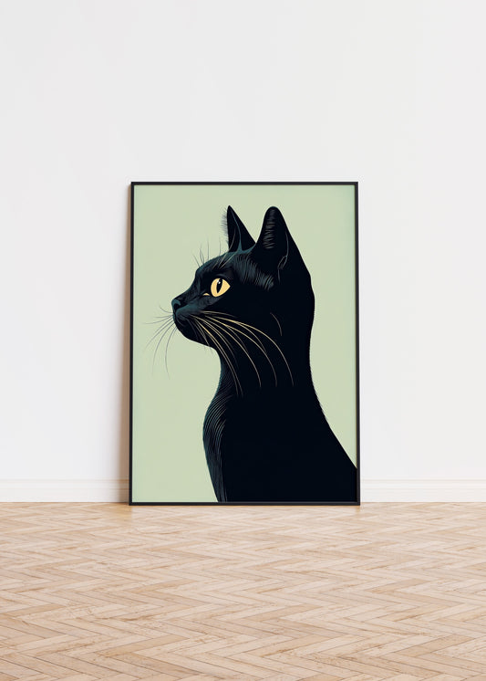 Illustration of a Khao Manee cat 2