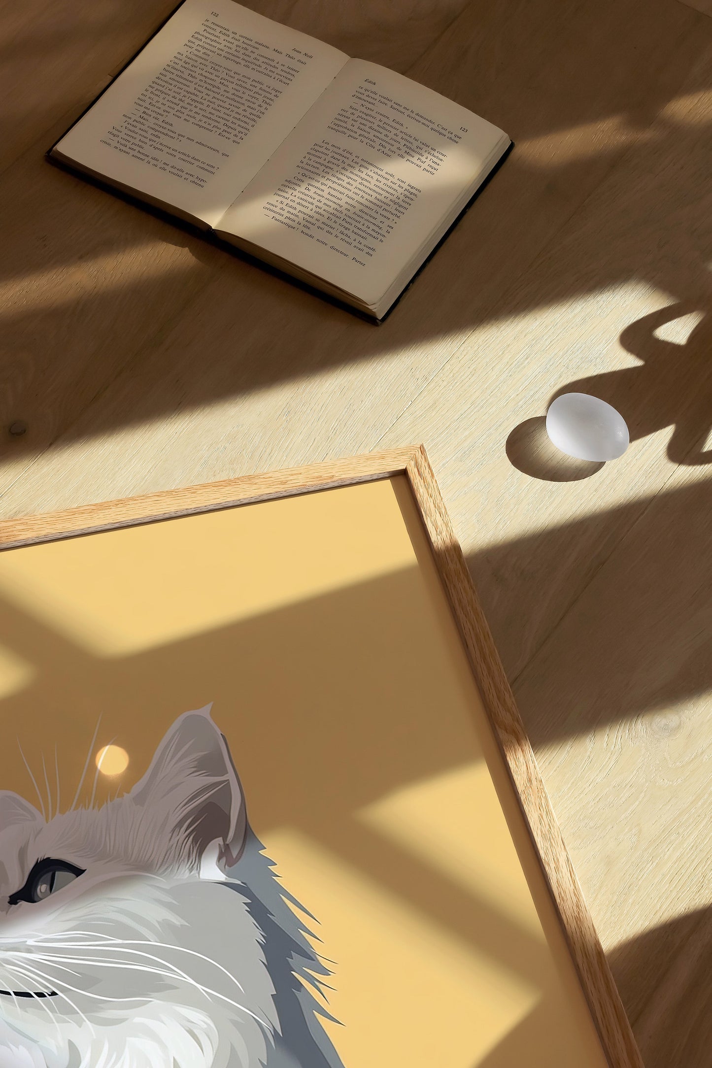 Illustration of a Ragdoll cat