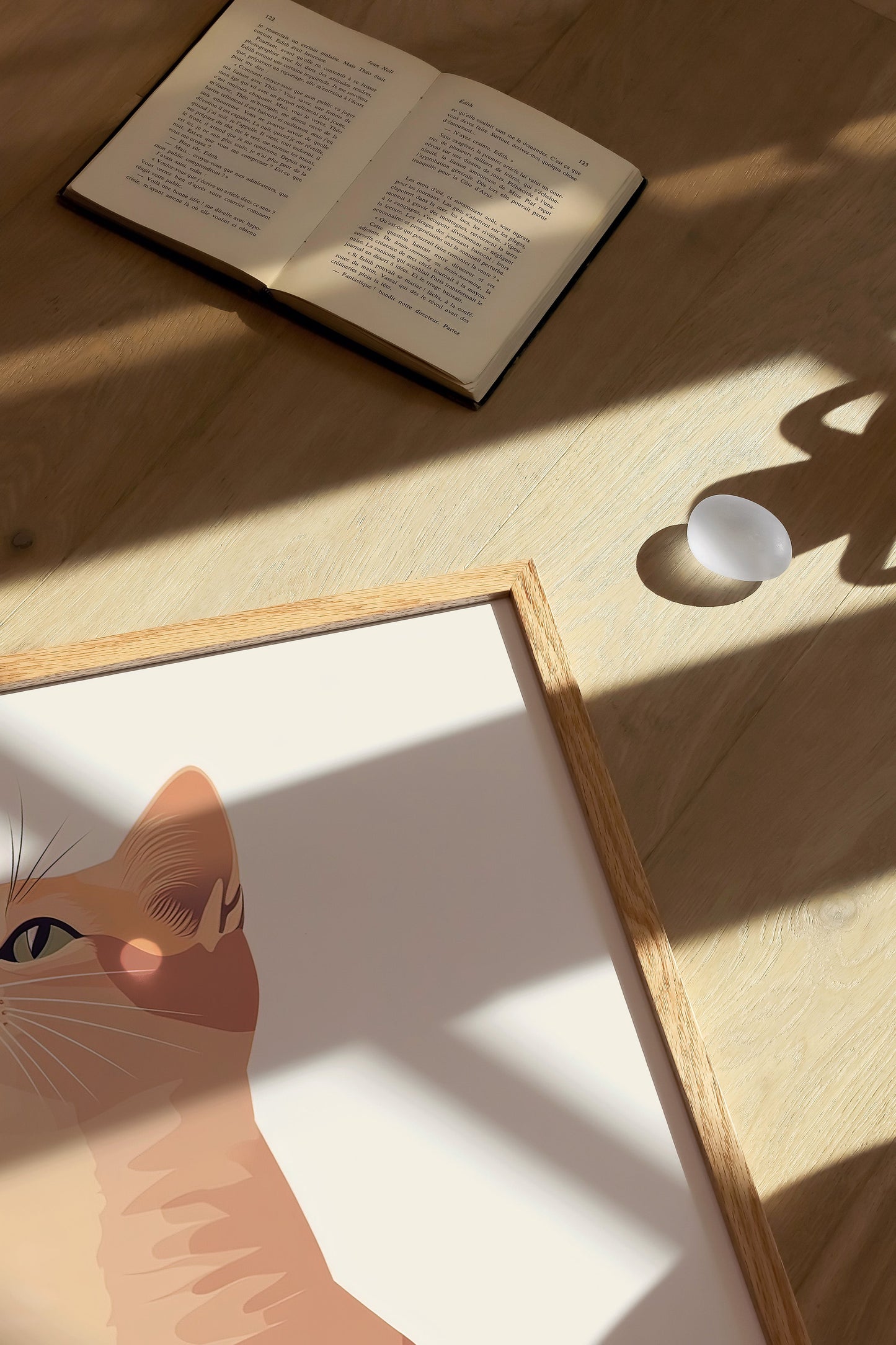 Illustration of a Sokoke cat