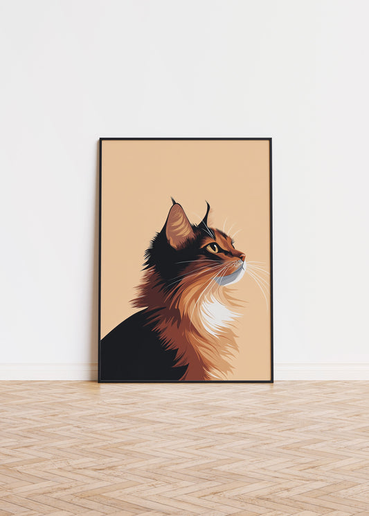 Illustration of a Somali cat