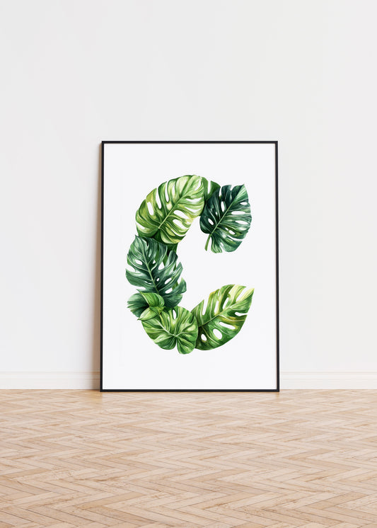 The Letter C formed by plants