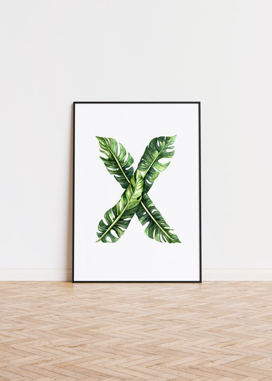 The Letter X formed by plants