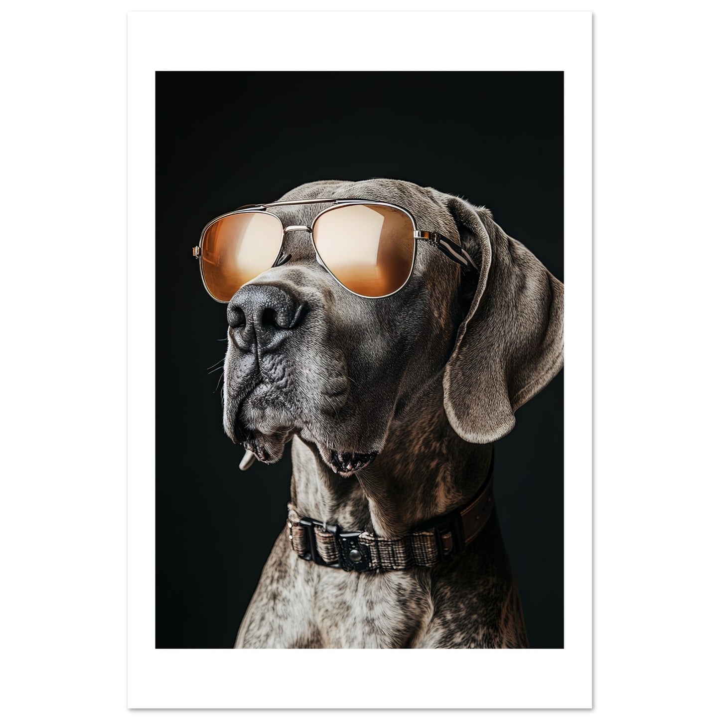 a20a7cbf-fadd-4b6d-897e-c568a4d08718