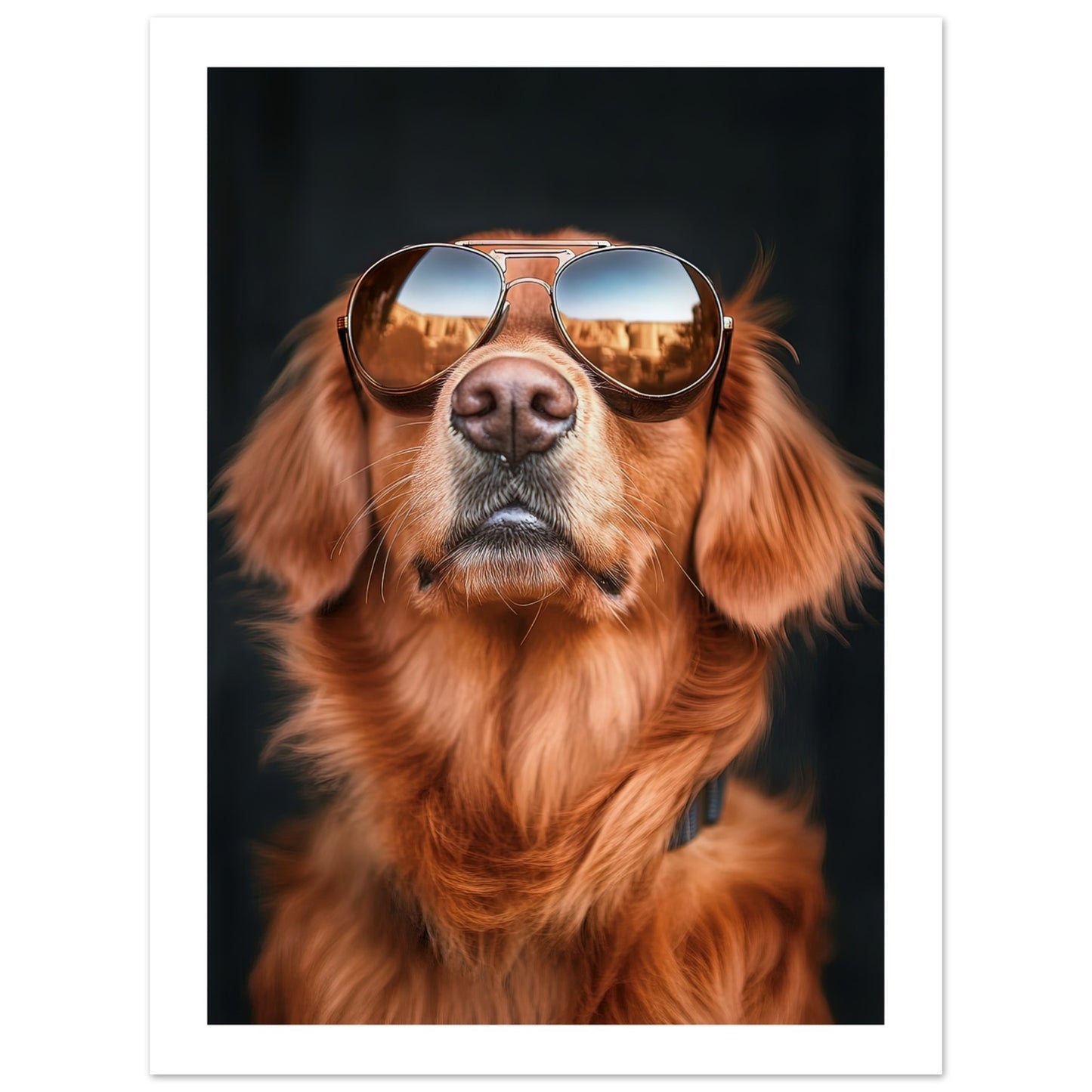 a2817f40-3871-42e0-a8b4-868801f50293