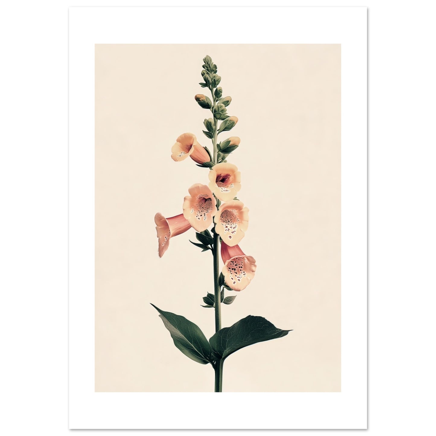 a35920f1-e1e5-4329-bbf9-a5f34c83358d