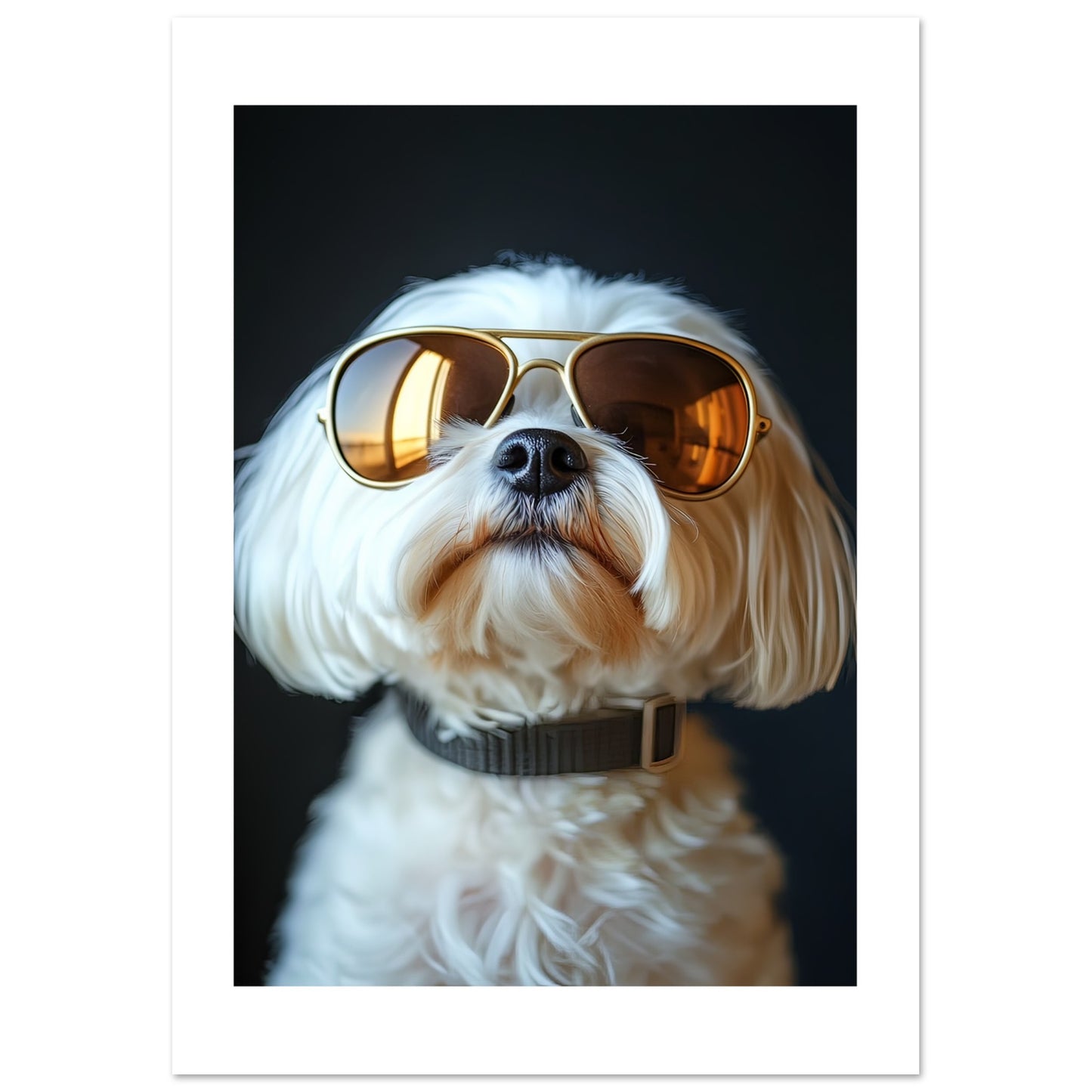 a9fbb348-048f-42e4-b7c2-6cb1fa395d70