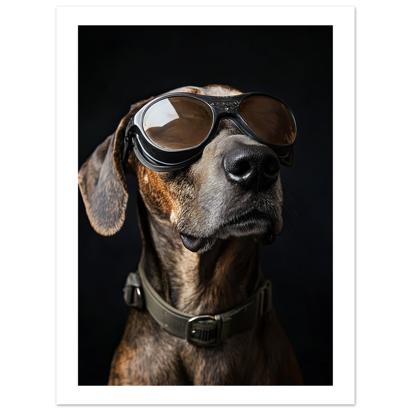 abffebde-c4aa-45eb-86c8-755983ab1d8b