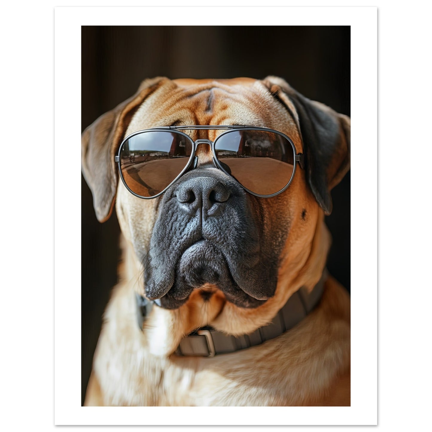 afa0bfe4-2c50-425e-9d1d-436903608e86