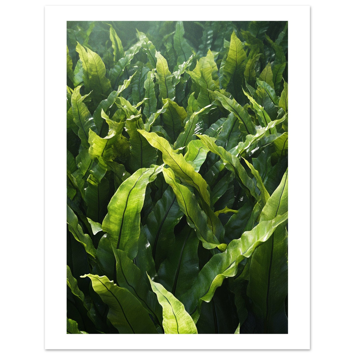 b06cc7ea-a062-4fad-ba80-cbb80f5089f7