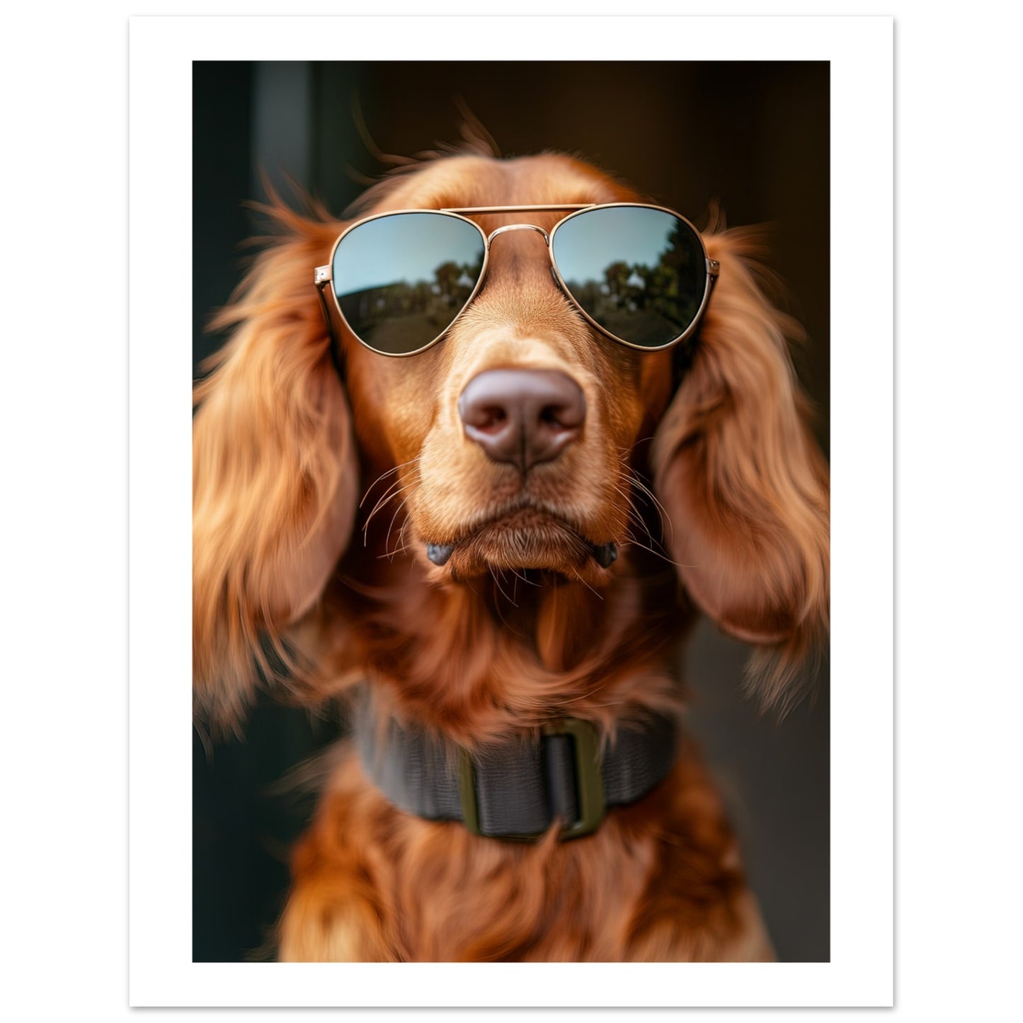 b1e5dd18-5c5e-46e5-879e-a62364b92bad