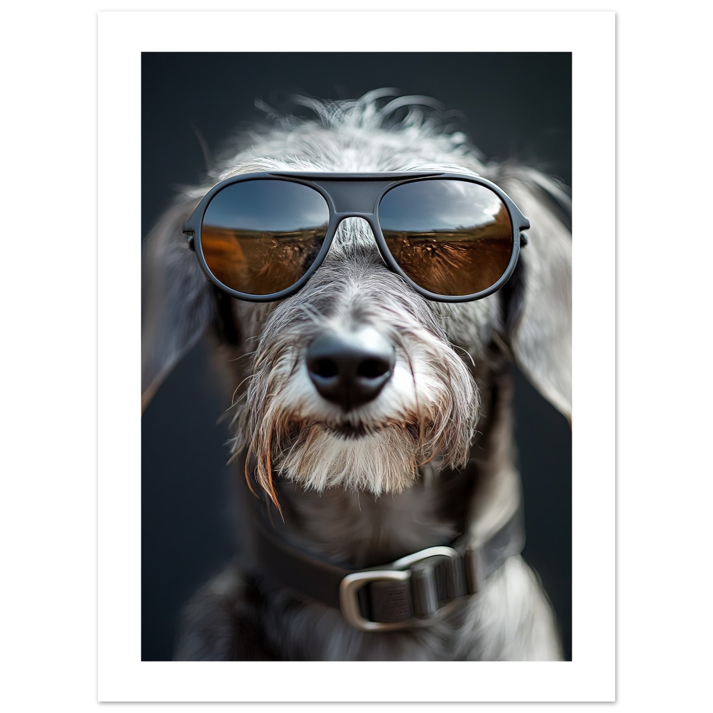 b1e7db81-a778-4a4e-a922-8fe9b04105bb