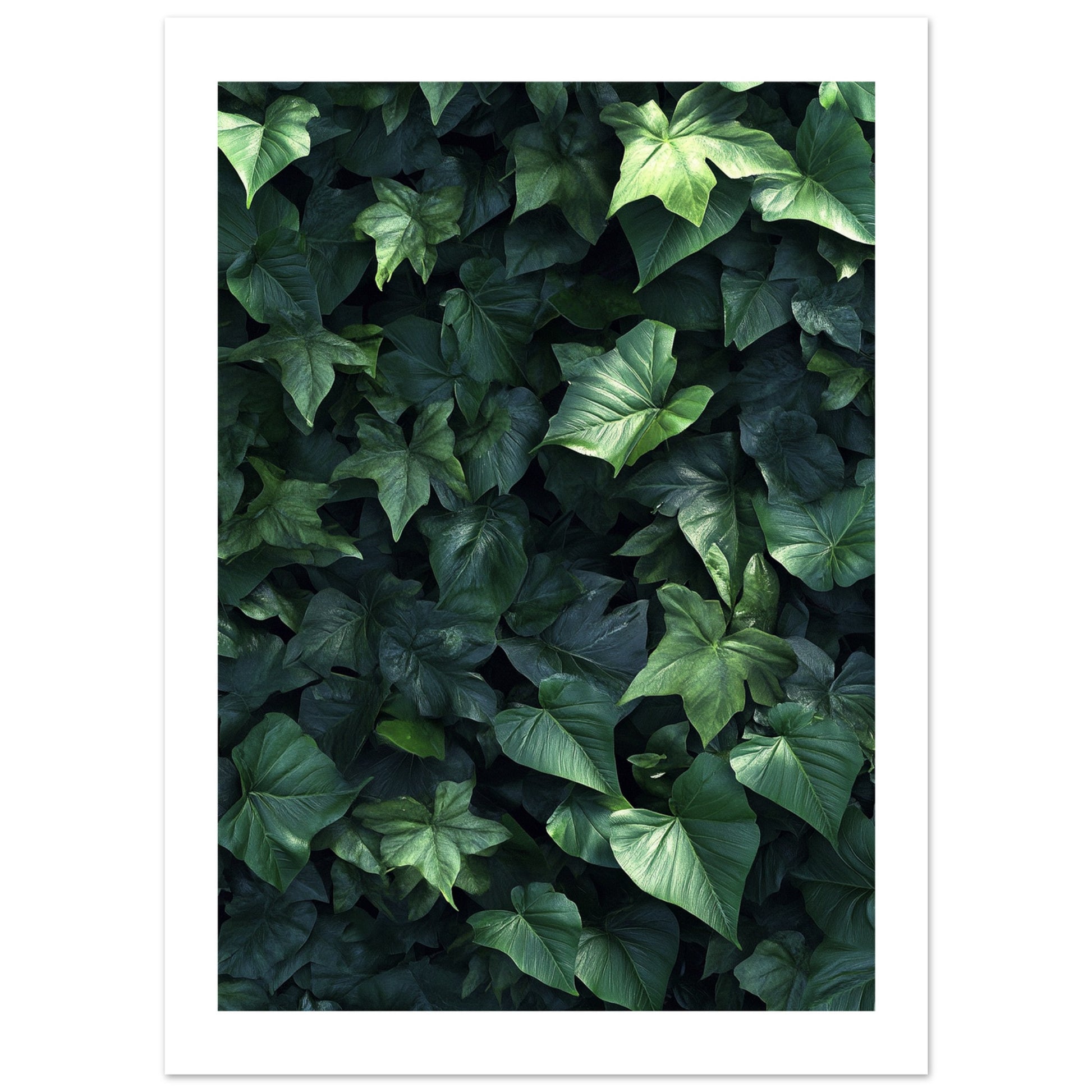 philodendron poster Vibrant Philodendron Plants Poster for Indoor Style – Posters One Hundred