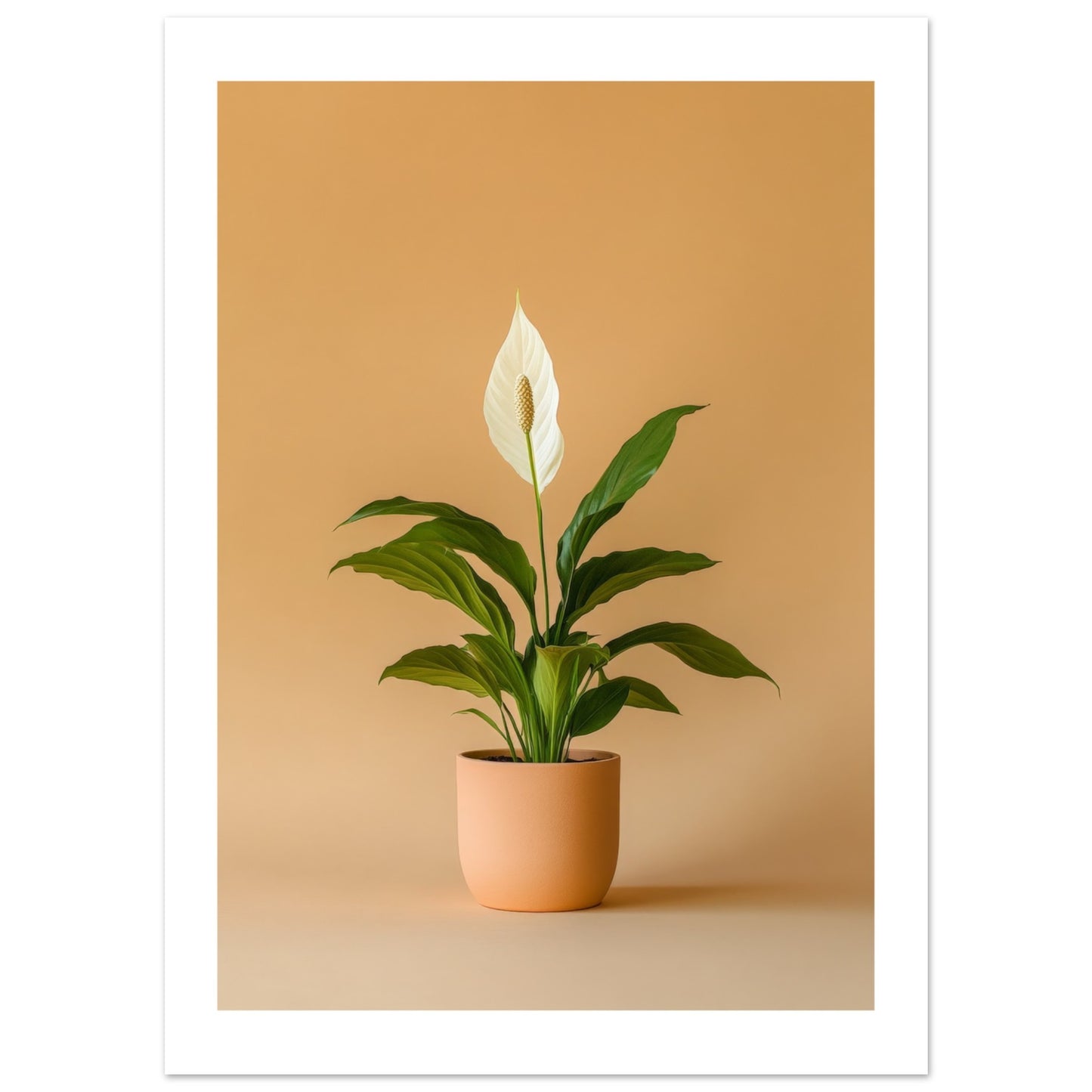 b7162b4a-9bbf-459d-9d10-f1a070ced3d9