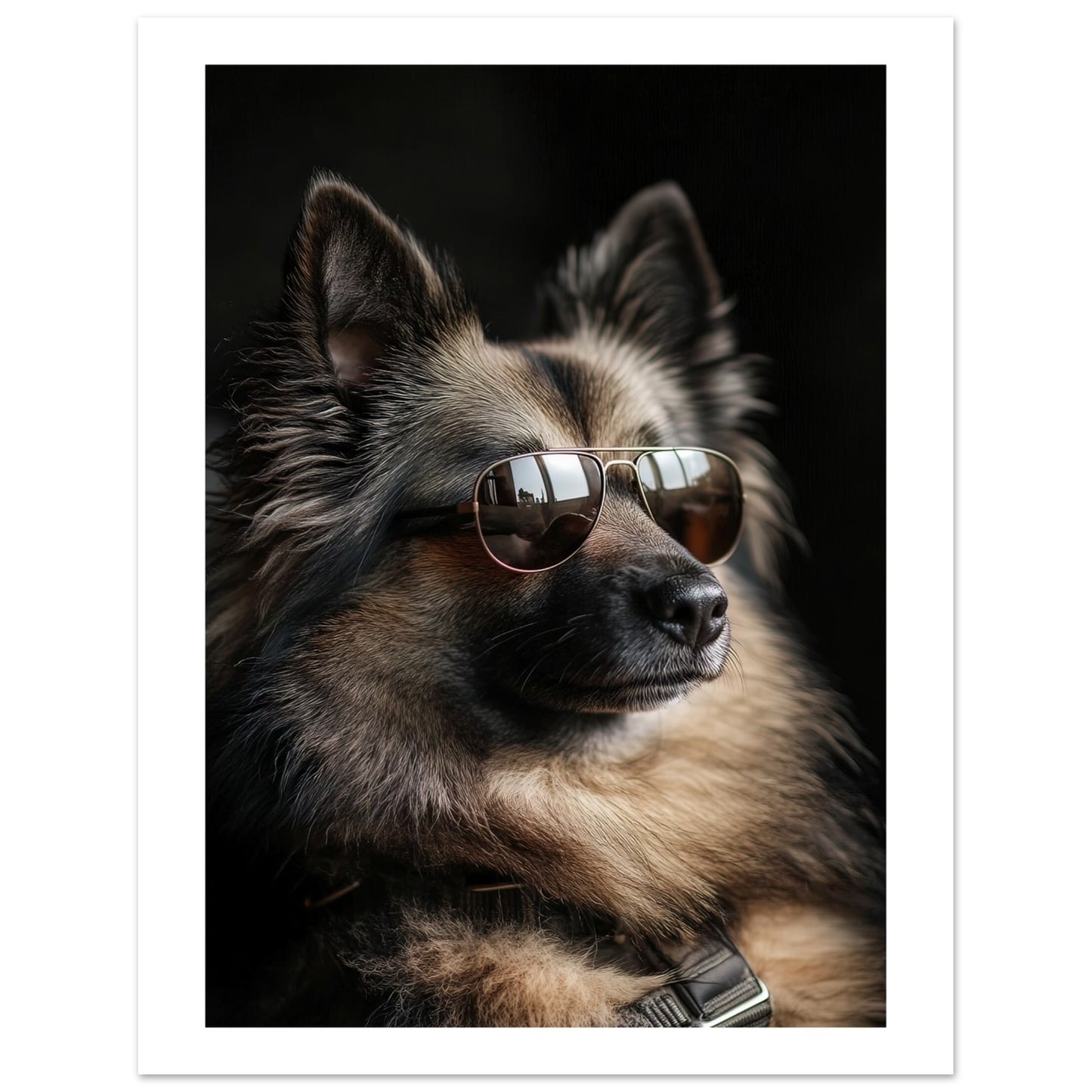 b9f7d07b-2e61-4f3f-9cc9-b9428ba9f694