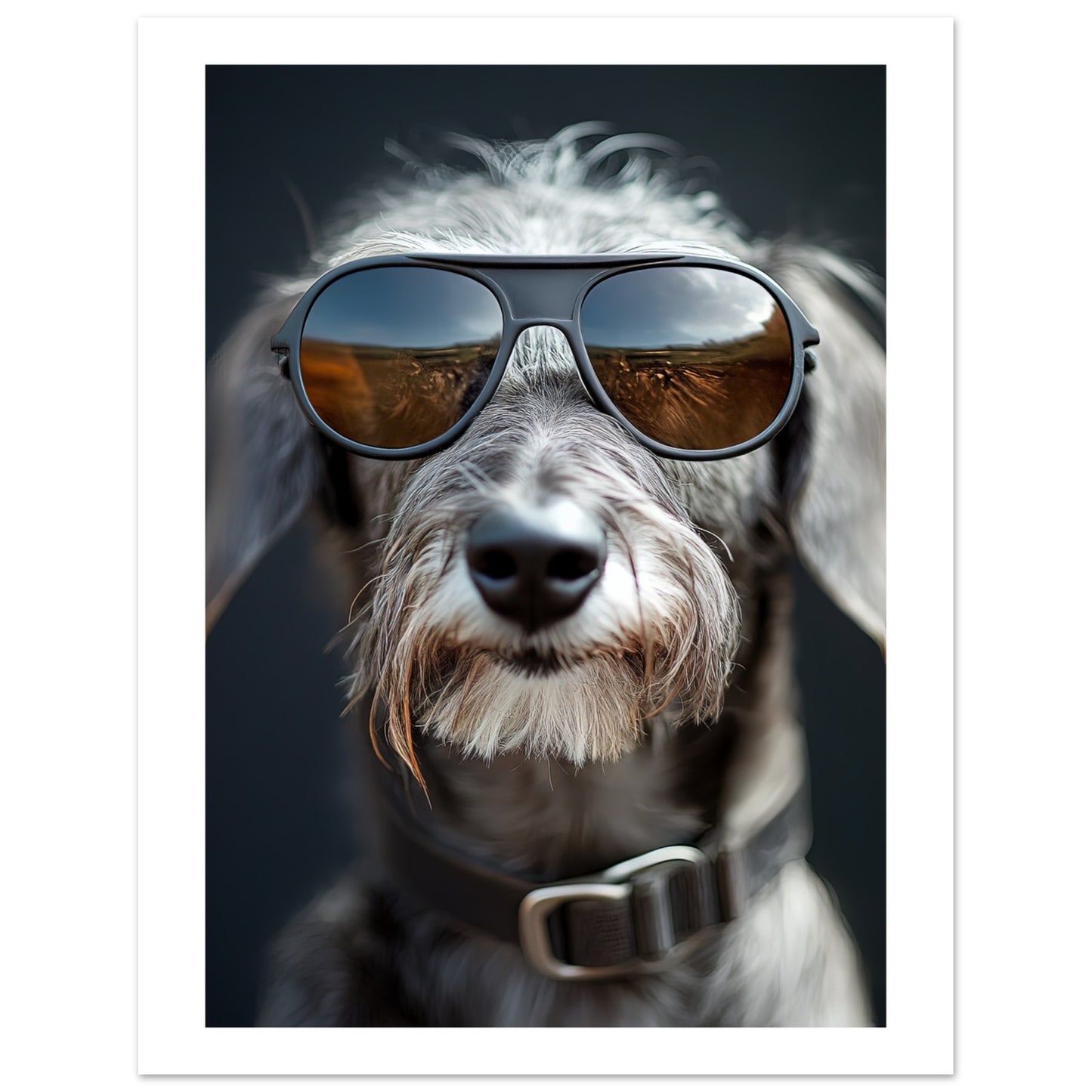 ba82b02a-d3b4-4d4d-a5b6-5beeaf1c7c2c