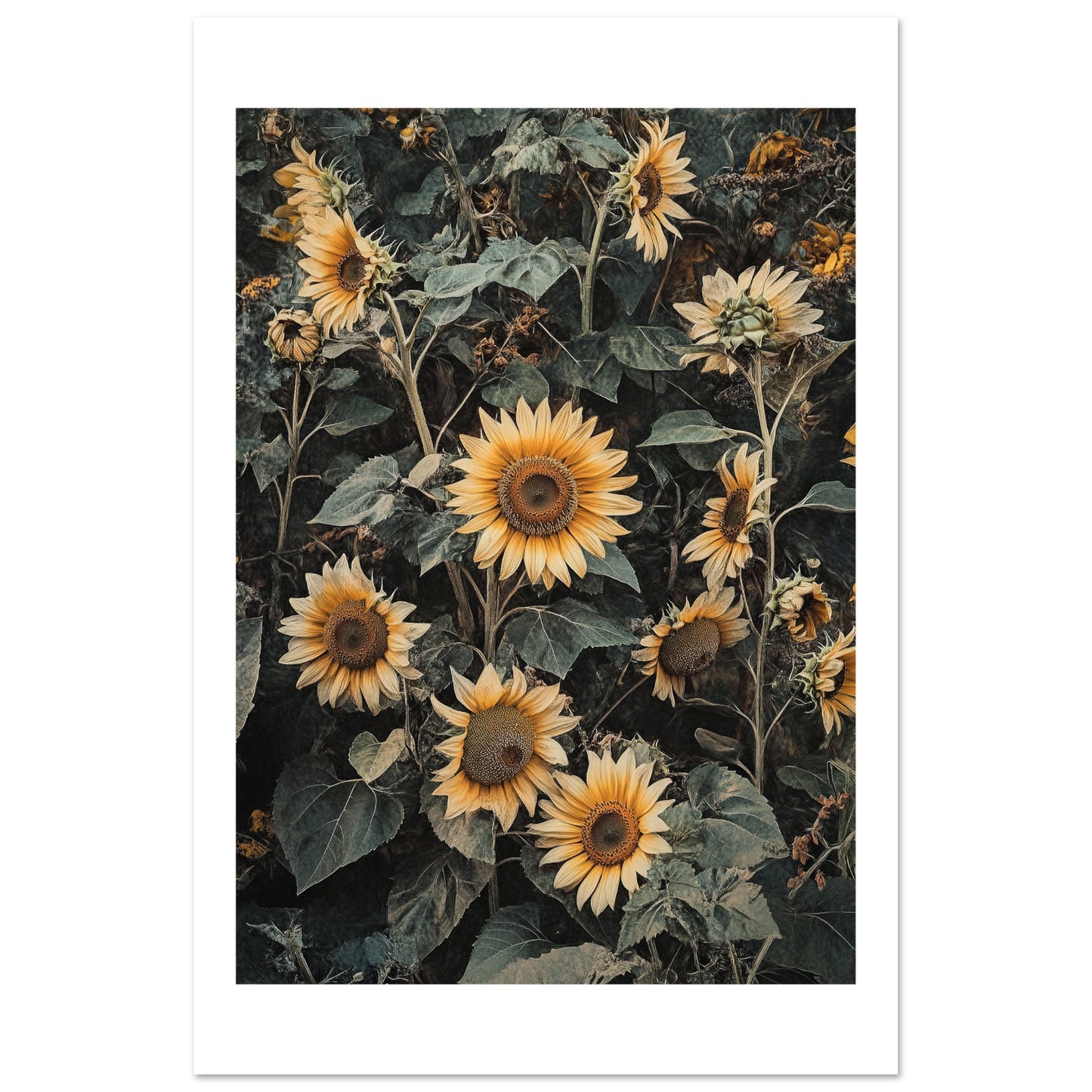 bb3185db-0ae7-47ad-a6ca-53253dd0579c