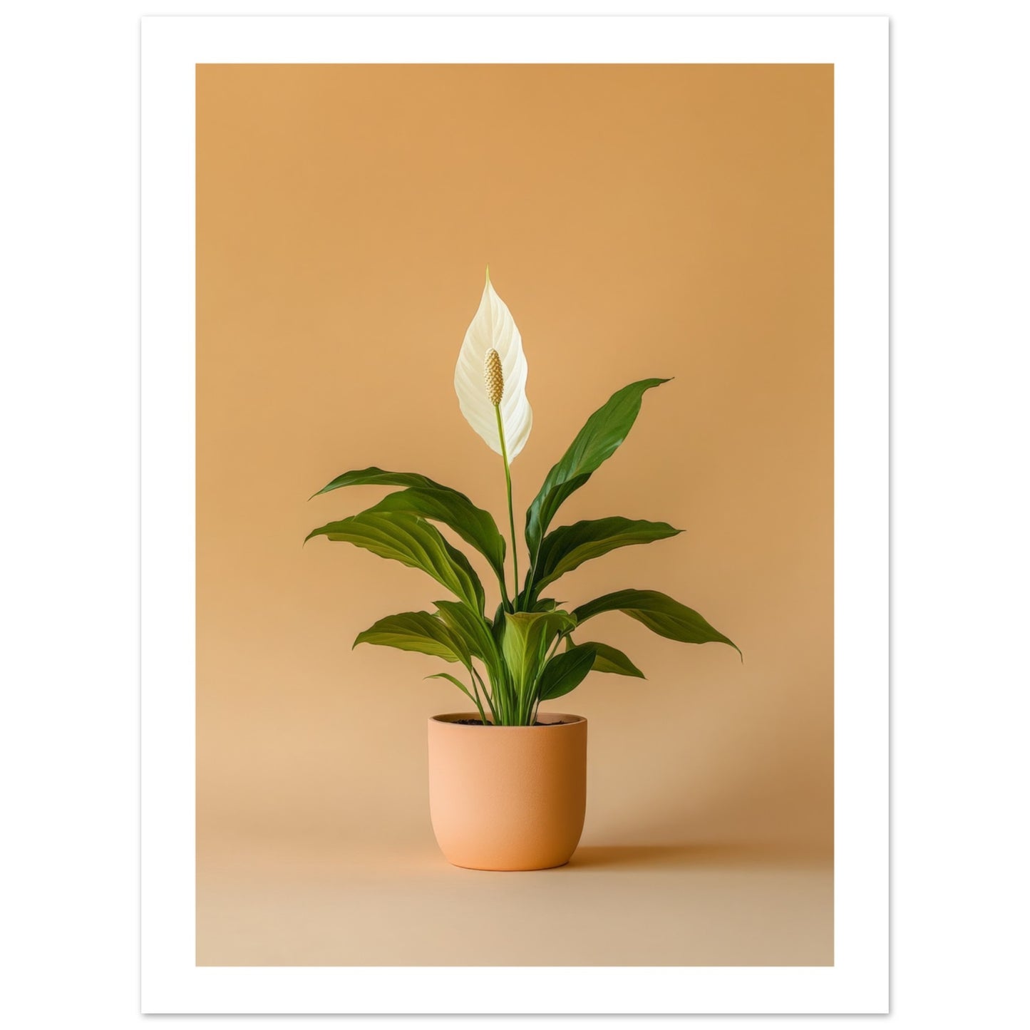 bb859225-66a1-4163-8665-a2352d2e96f8