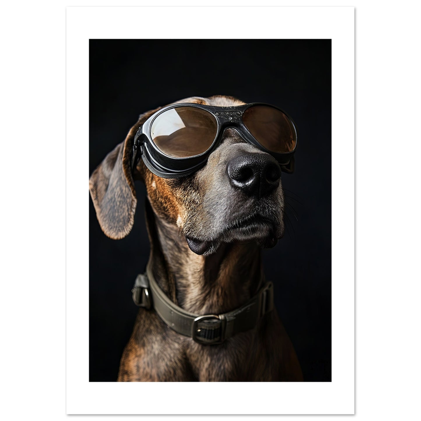 c17c7bac-62c7-4cc3-bf7c-8fd29f5f9e02