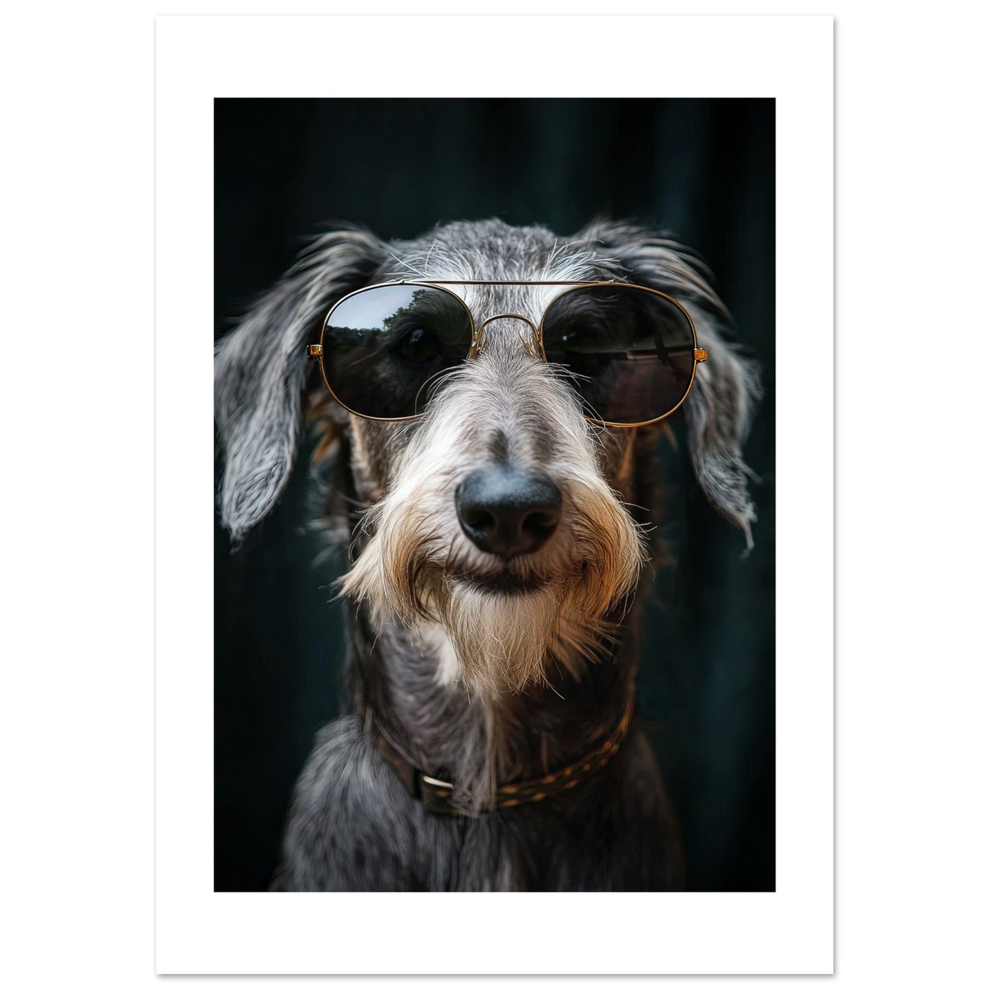 ca90d329-dee4-44a2-8e2c-a45b51f39b0c