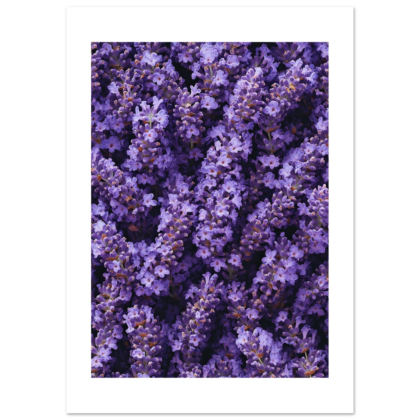 cc2186e6-a3ef-435f-b005-040951bc2e5b