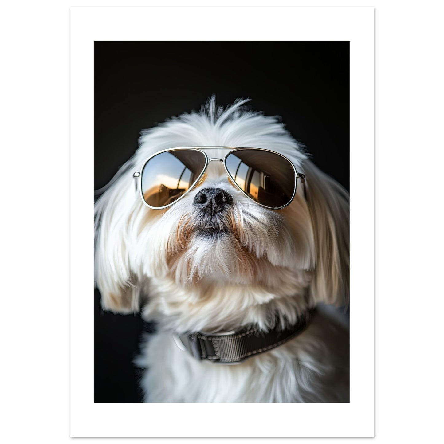 cd7e2df7-8ebe-4ec1-85ed-a7f569776550