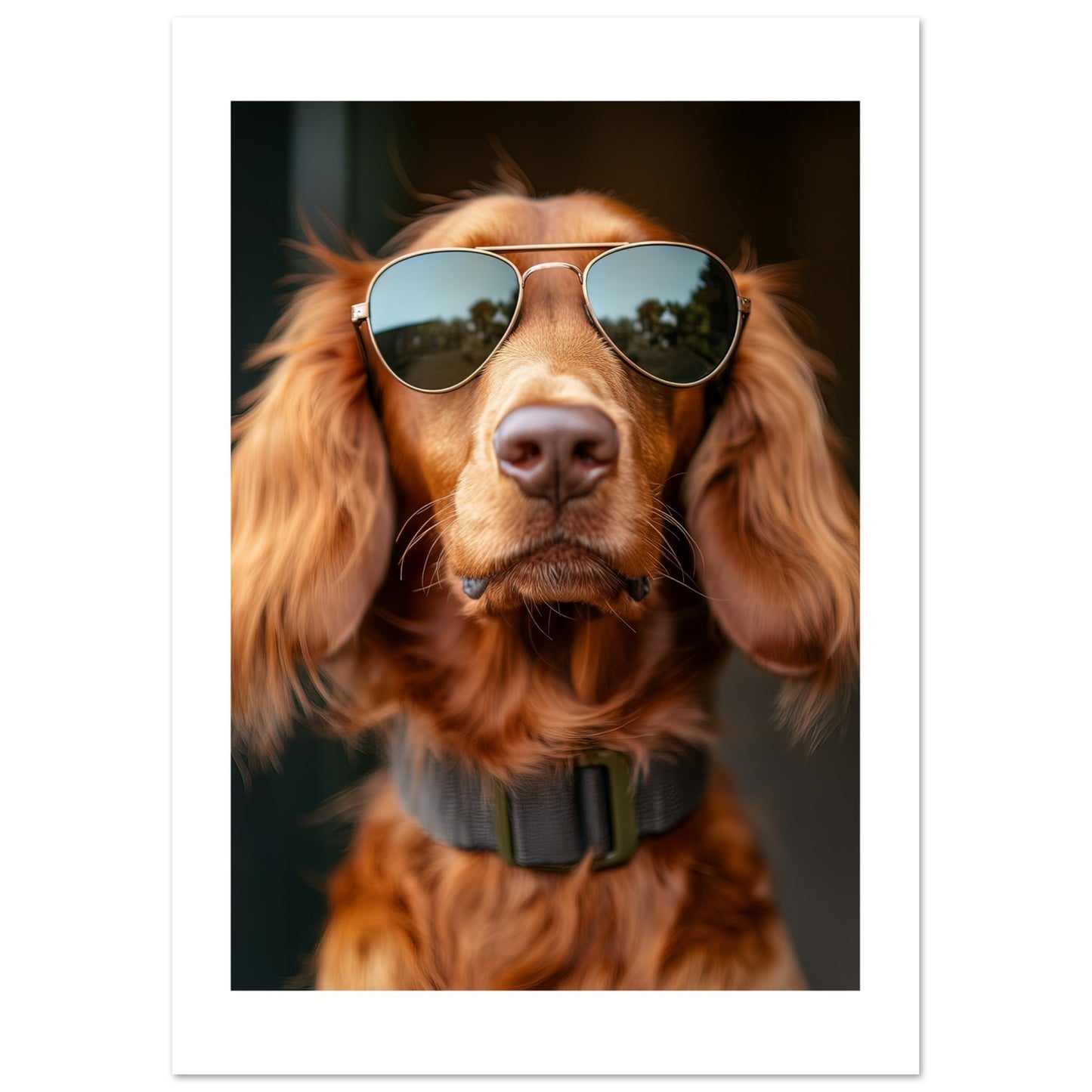 ce98b093-8541-47cf-b609-c0bc9d959409