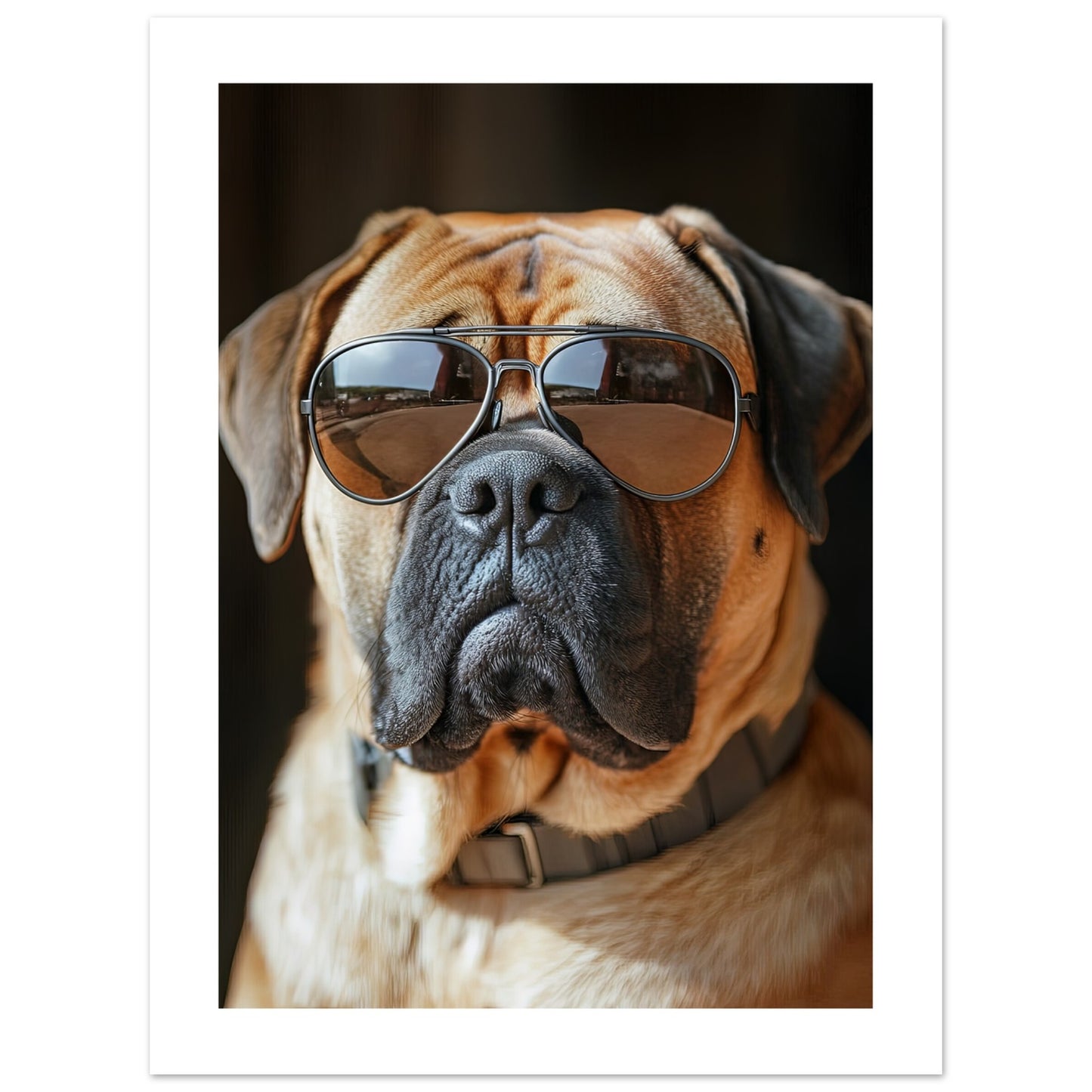 cecbd005-c90d-4da6-b3f8-692a34193cb2