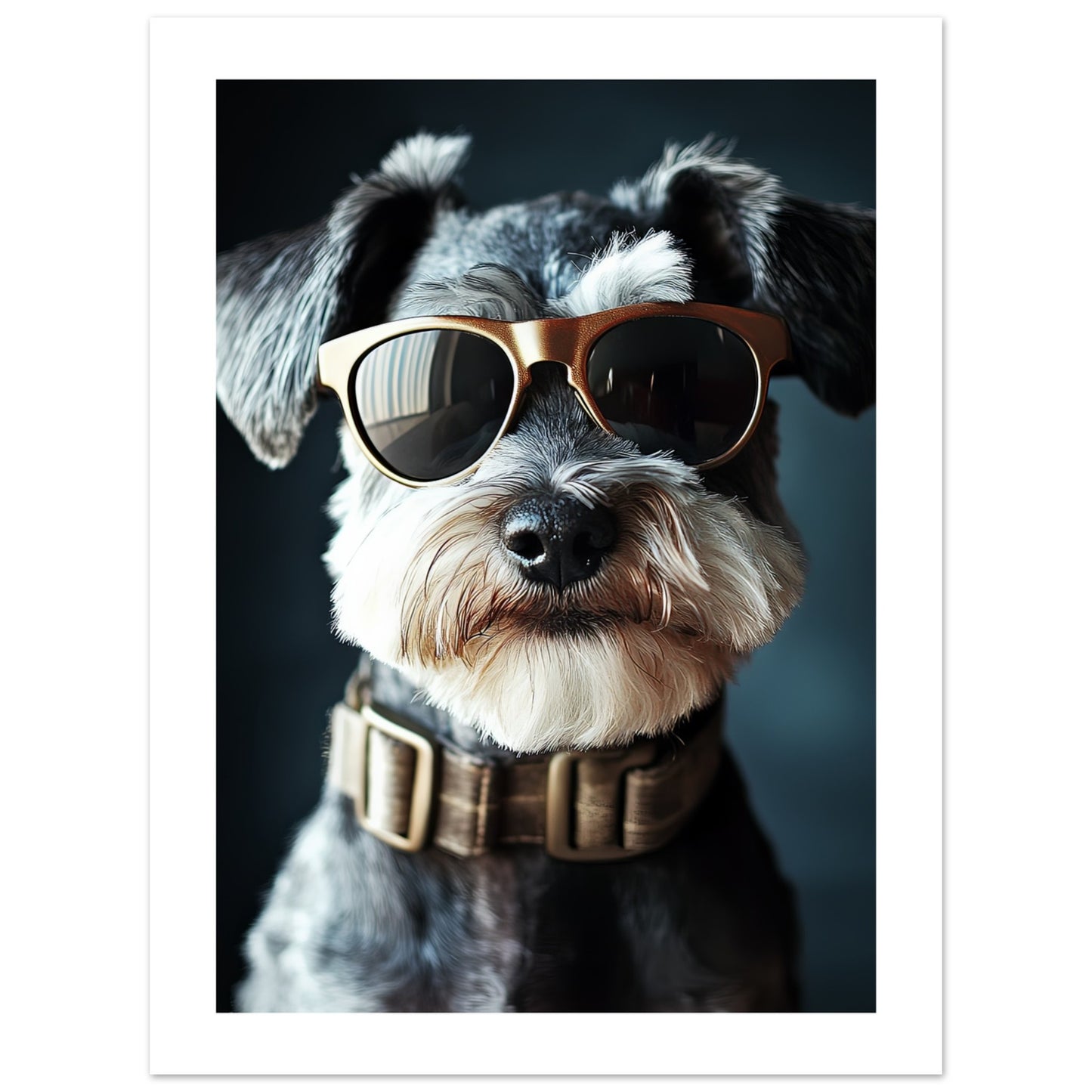 d086ab08-0a25-451a-86c7-4b288f74ee0f