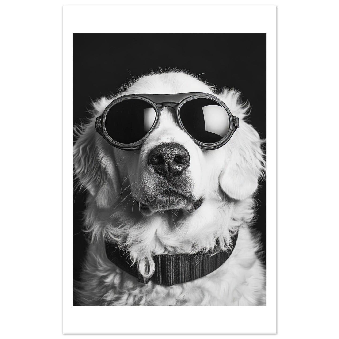 d14a277e-d9cb-431d-905d-cdf1215c42a6